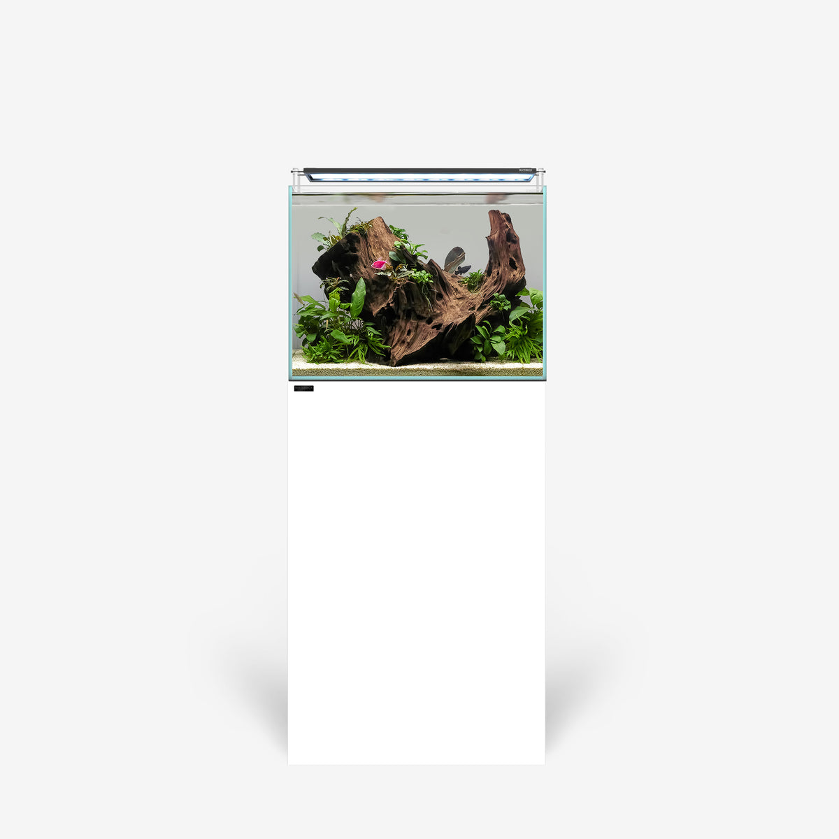 CLEAR 2420 PLUS Edition