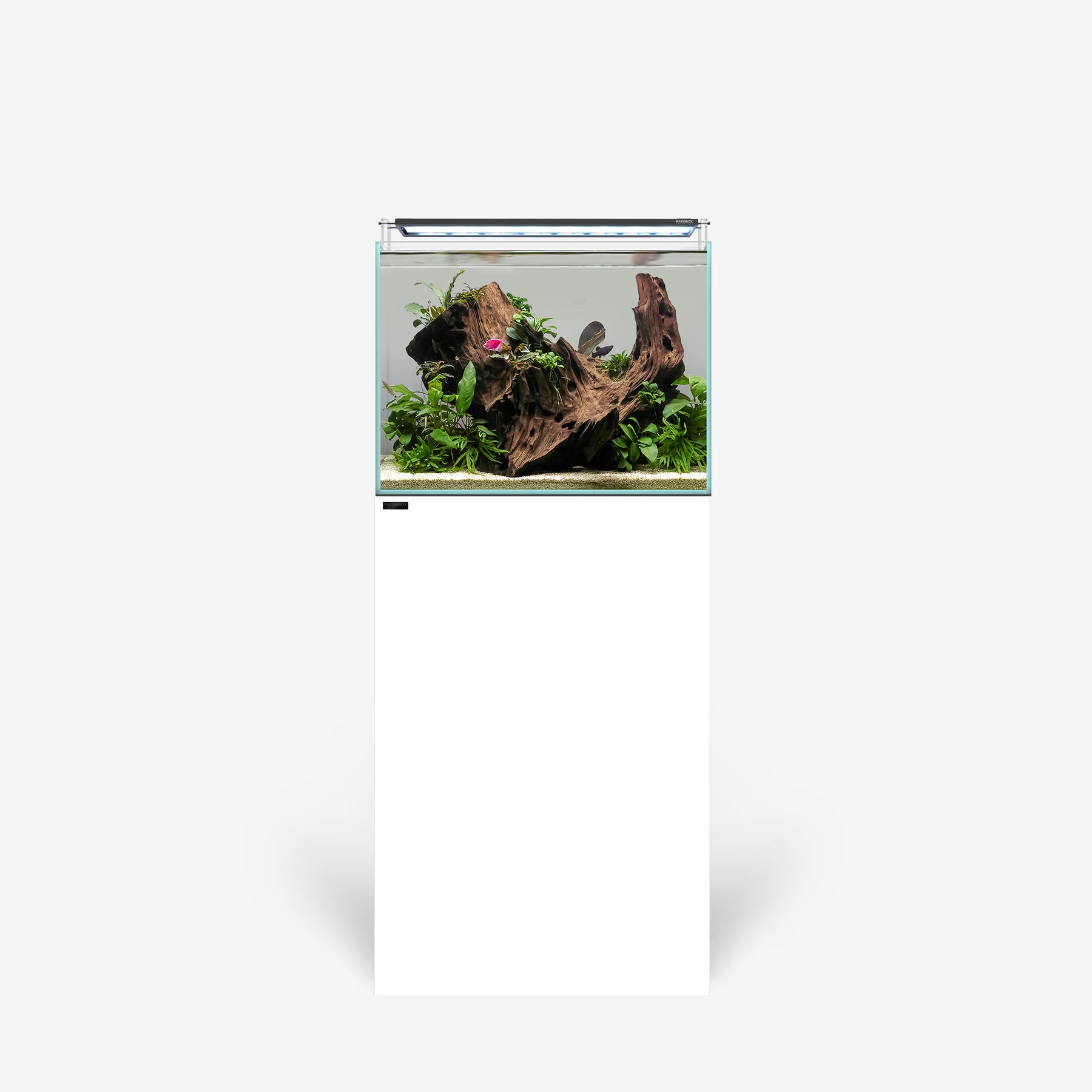 CLEAR 2420 PLUS Edition