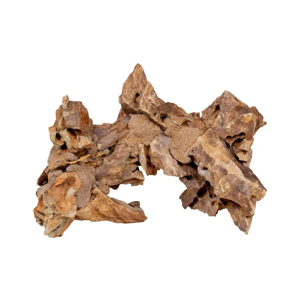 Dragon Stone 12" Arch 4 pk Caribsea