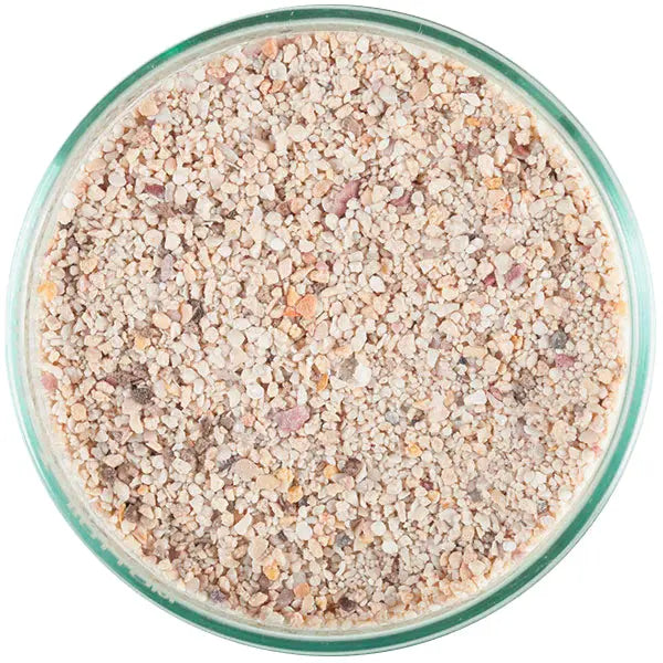 Arag-Alive Fiji Pink Caribsea