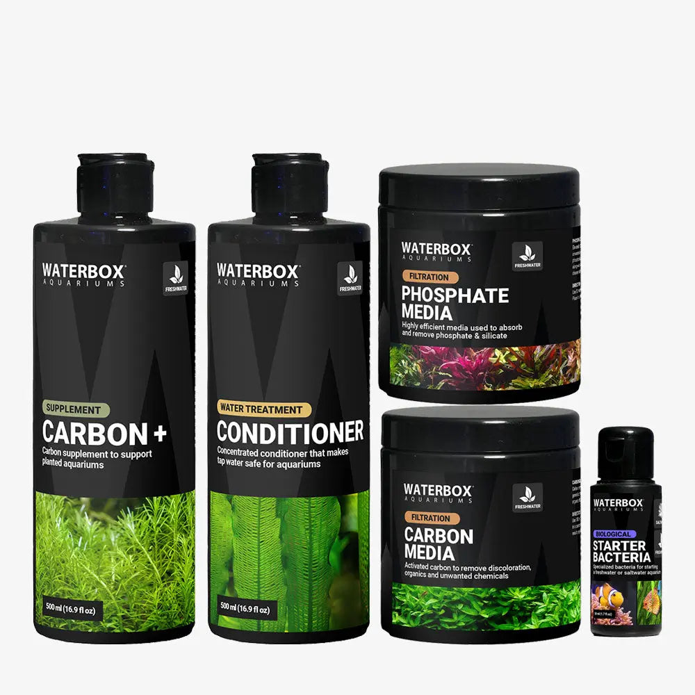 Freshwater Starter Bundle Waterbox Aquariums