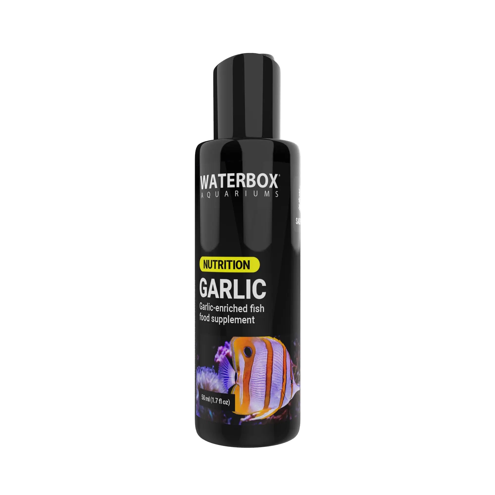 Garlic Waterbox Aquariums