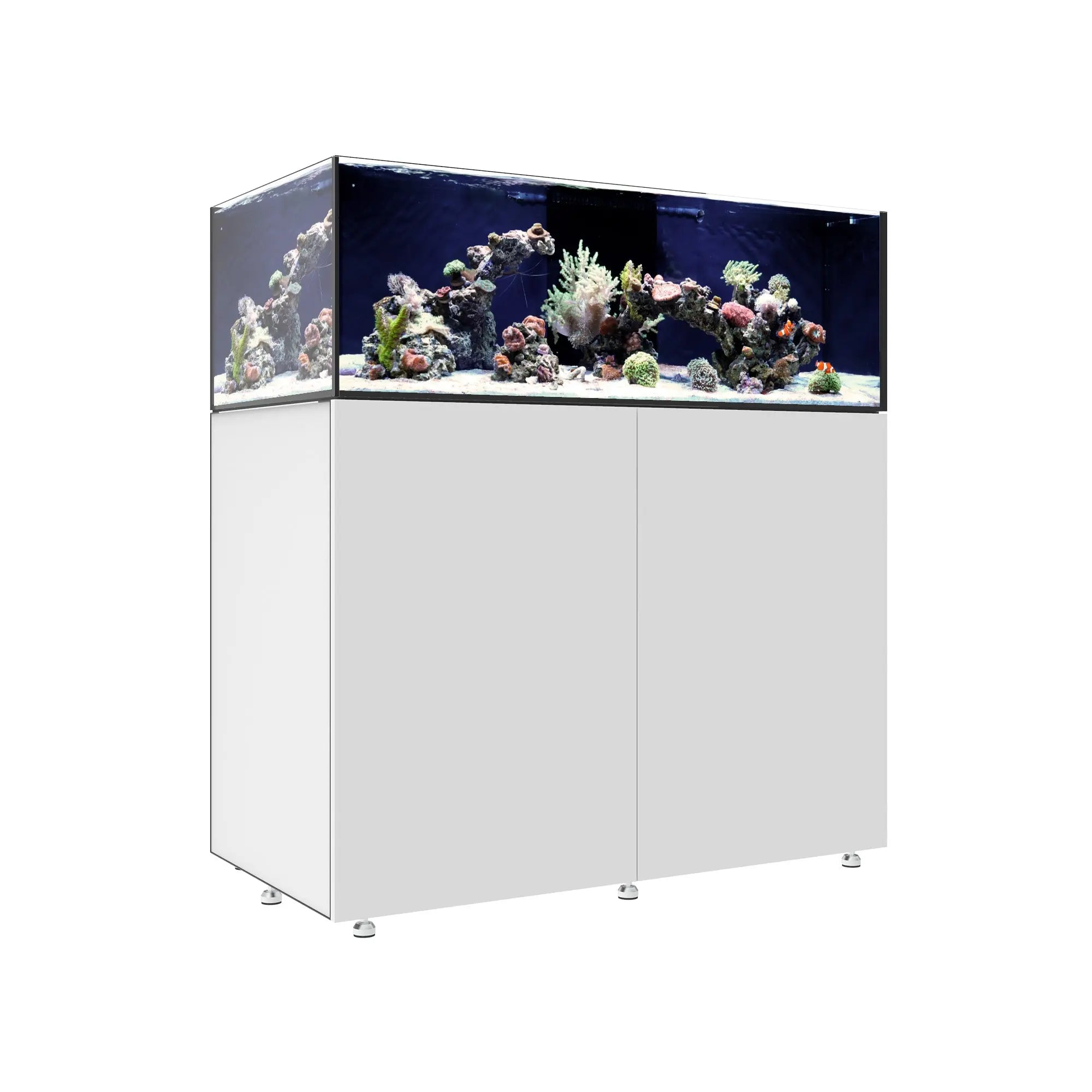 INFINIA Frag 125.4 Waterbox Aquariums