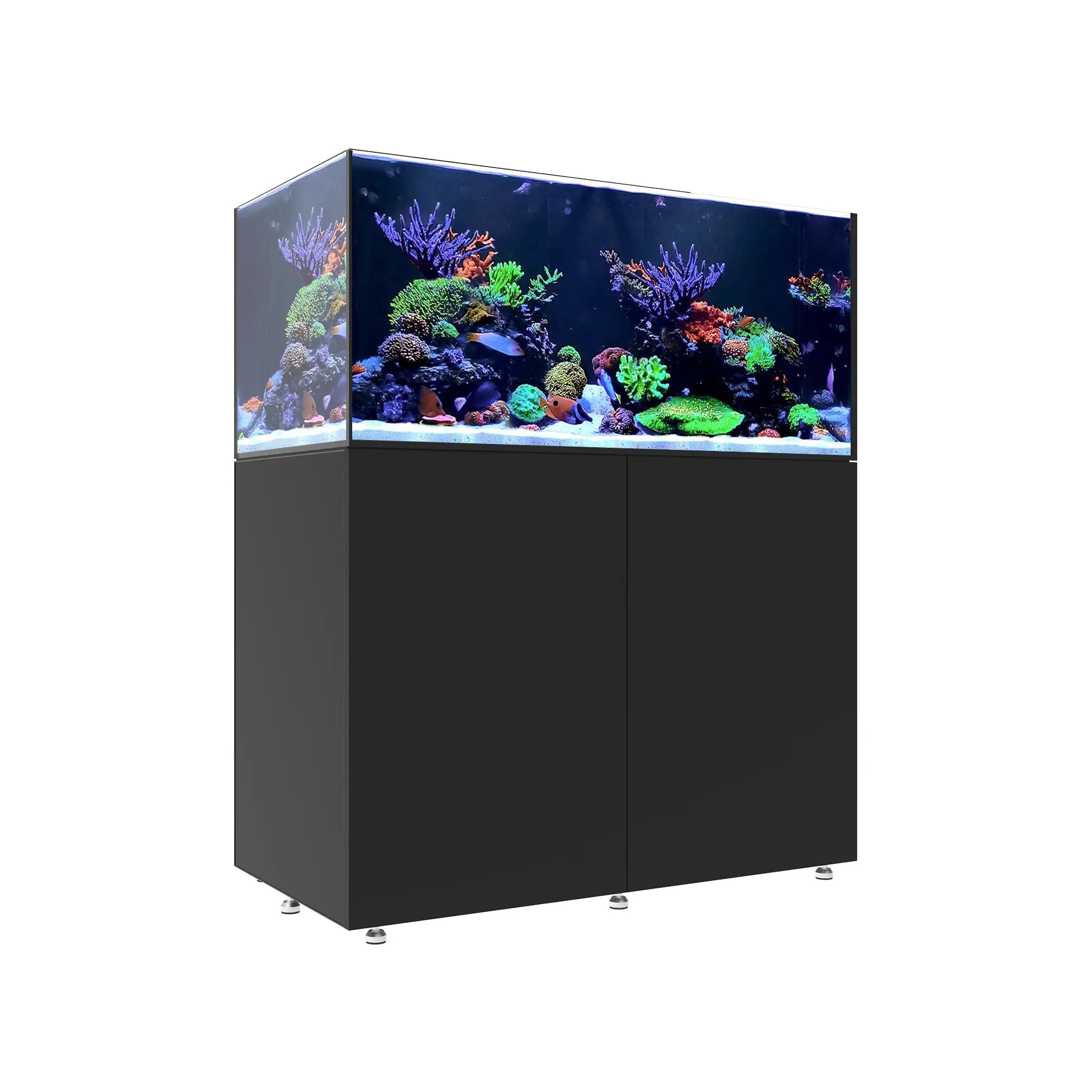 INFINIA Reef 150.4 Waterbox Aquariums