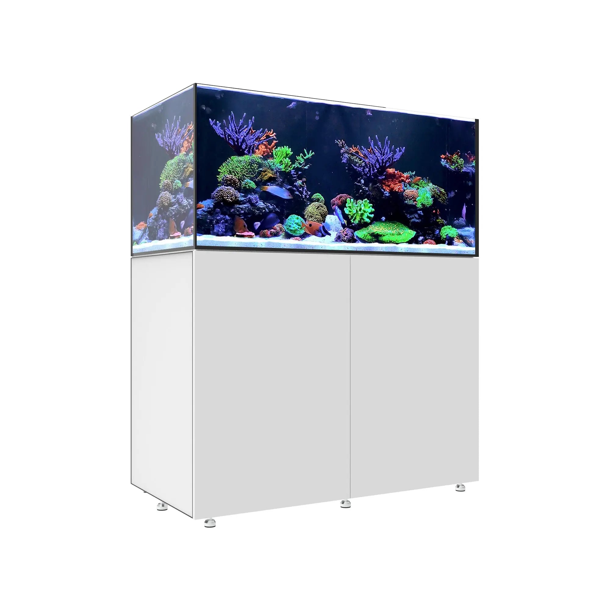 INFINIA Reef 150.4 Waterbox Aquariums