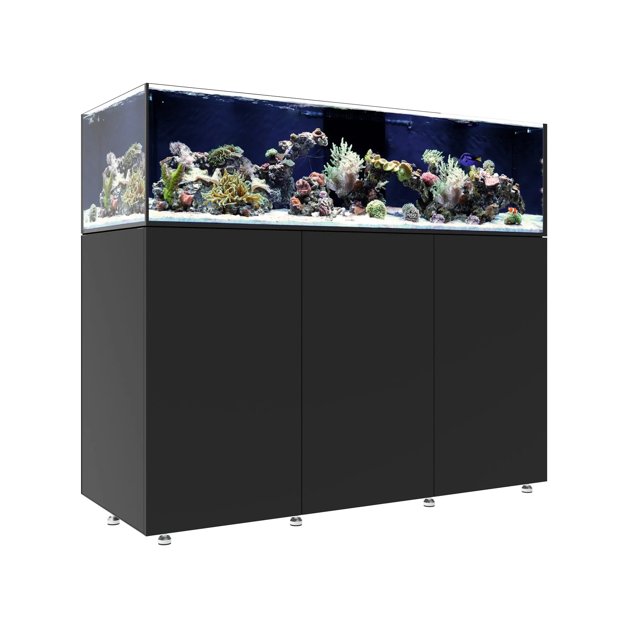 INFINIA Frag 155.5 Waterbox Aquariums
