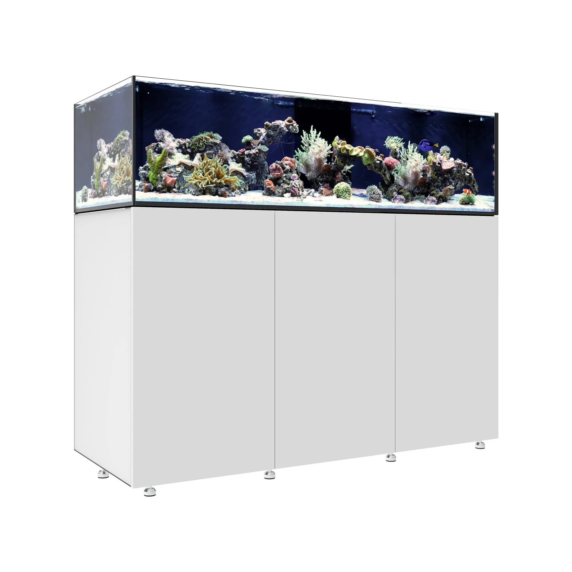 INFINIA Frag 155.5 Waterbox Aquariums