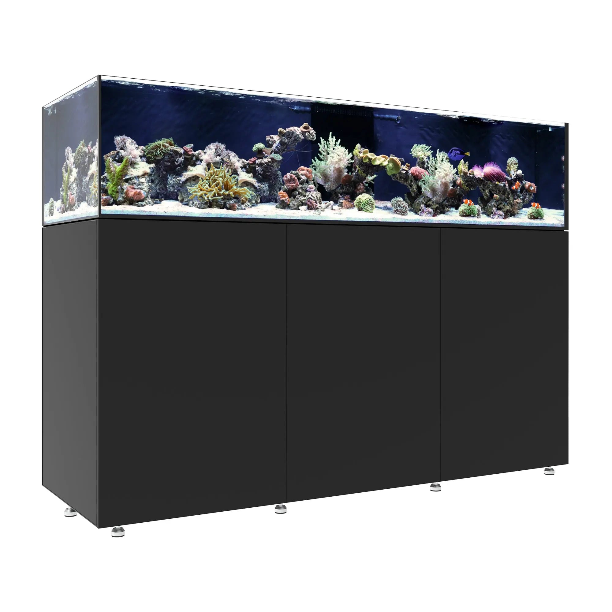 INFINIA Frag 175.6 Waterbox Aquariums