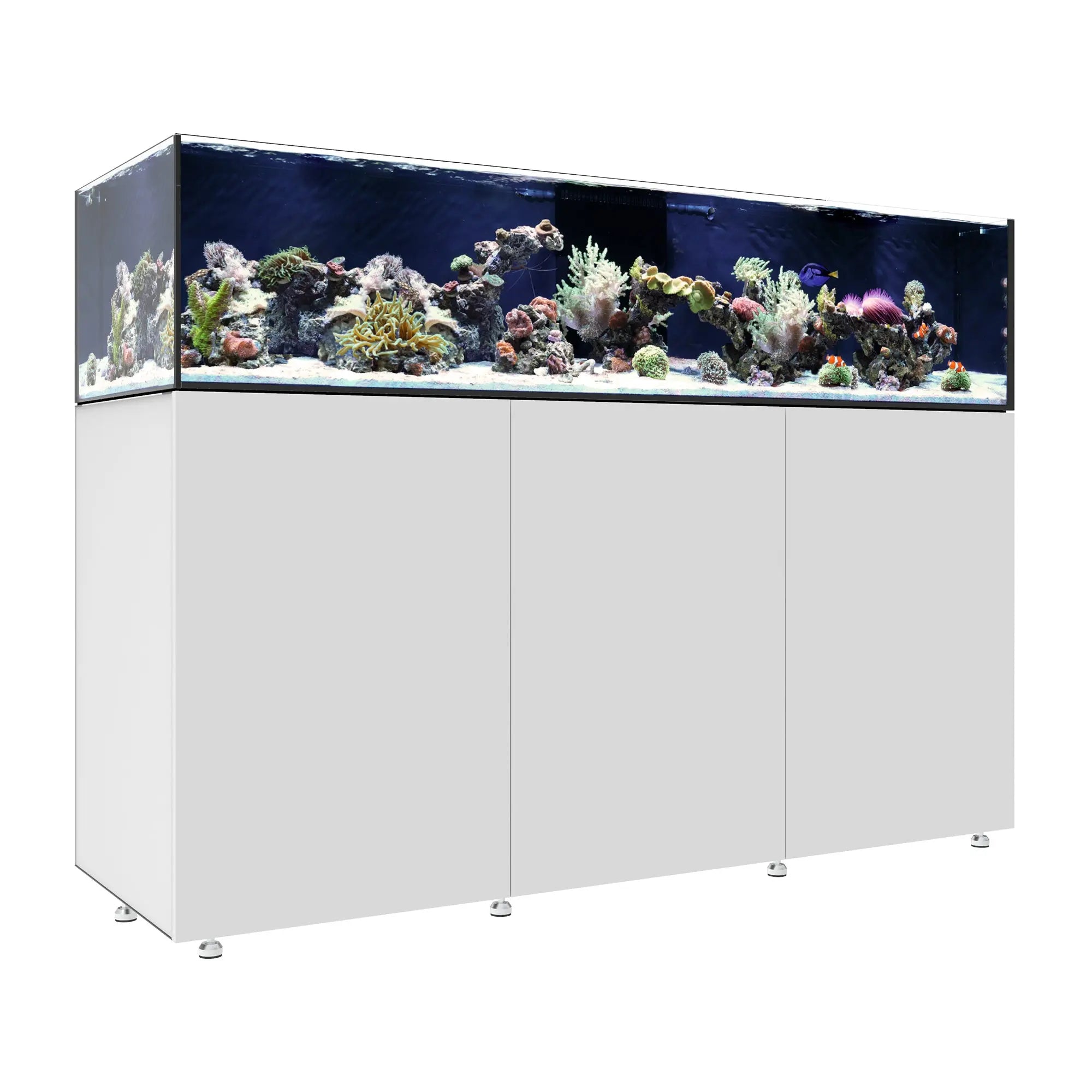 INFINIA Frag 175.6 Waterbox Aquariums
