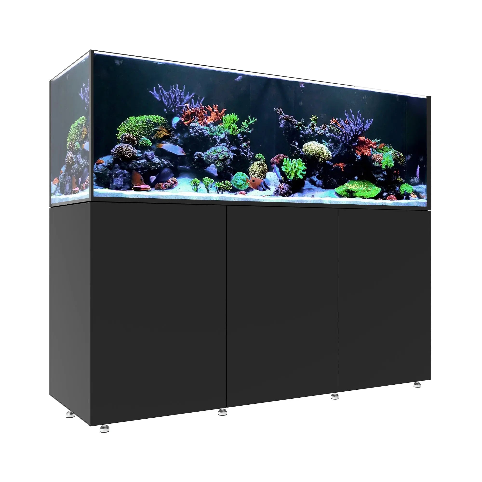 INFINIA Reef 230.6 Waterbox Aquariums