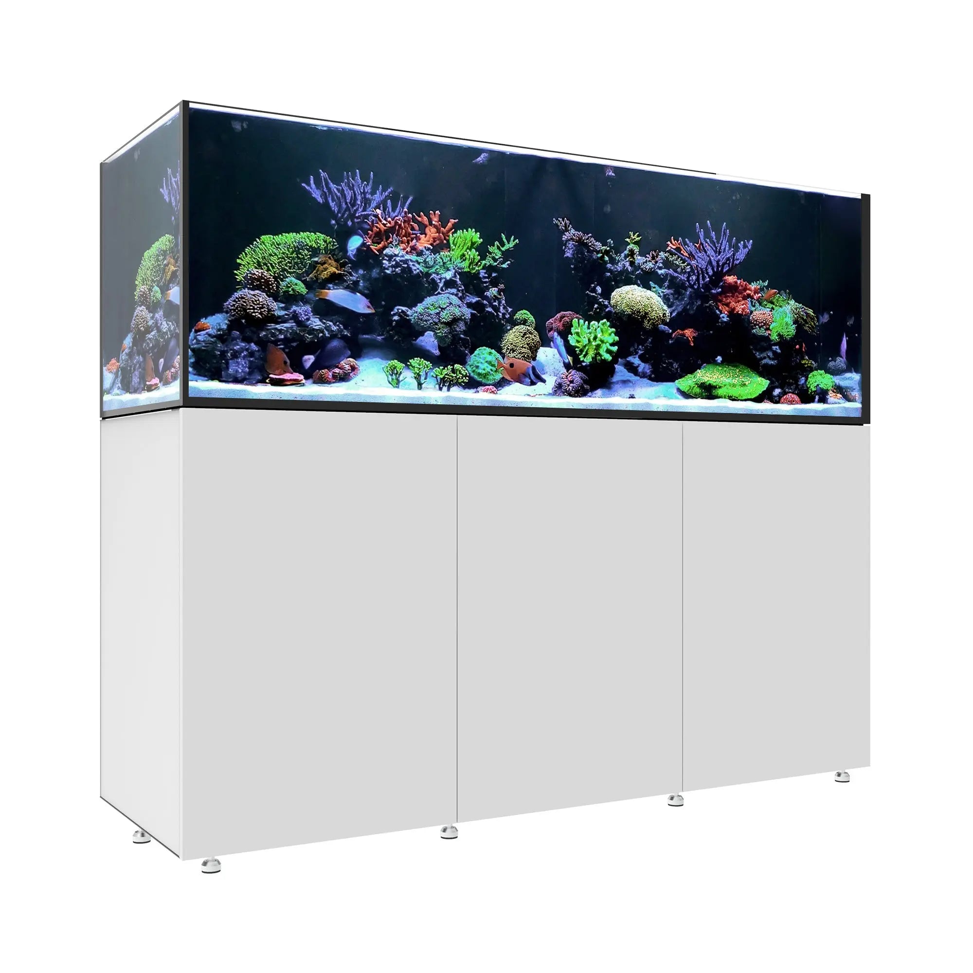 built in fish box Waterbox Aquarium - INFINIA Reef 230.6 White / System Only - Saltwater - Rimless - Reef - Fish Tank