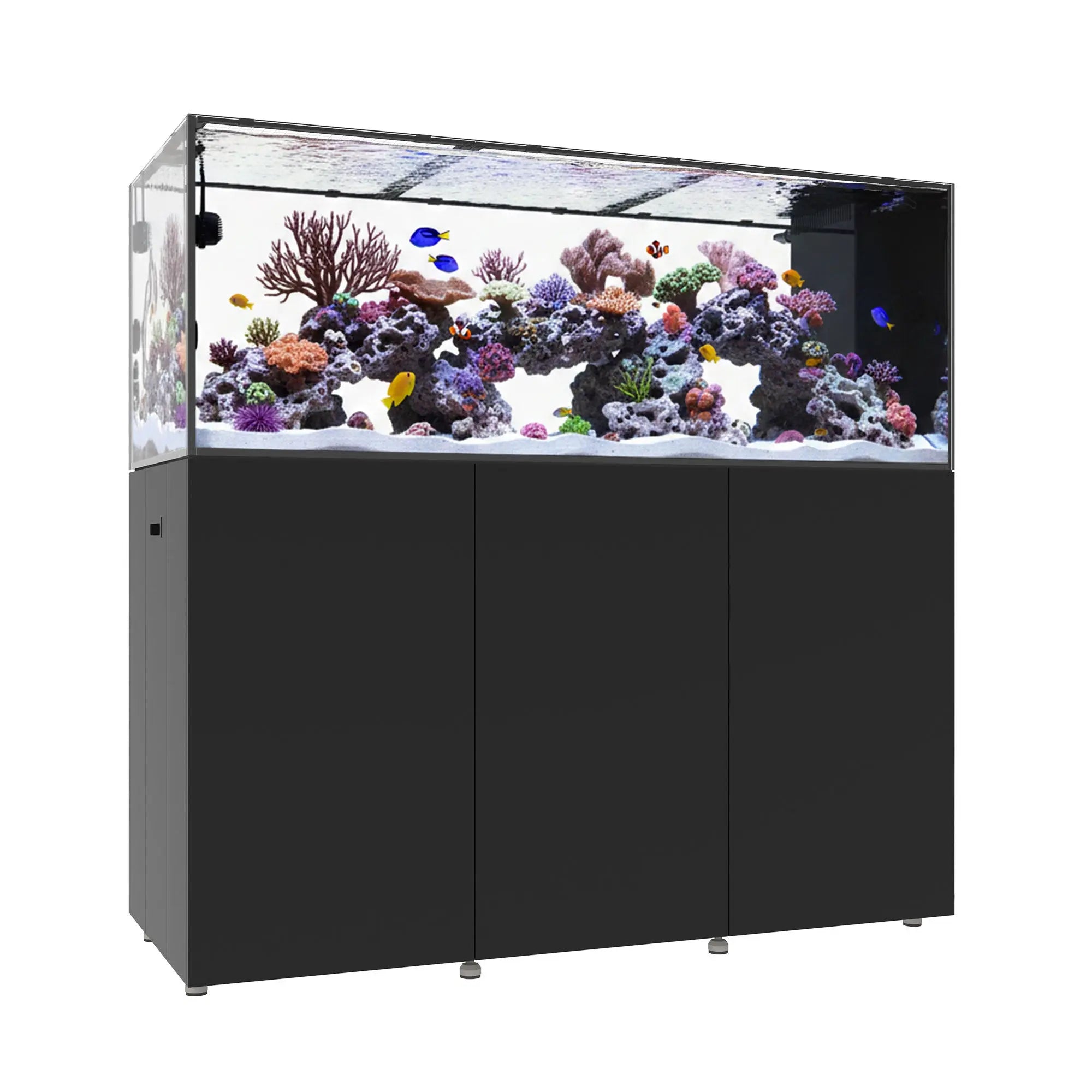 INFINIA PENINSULA 6025 Waterbox Aquariums