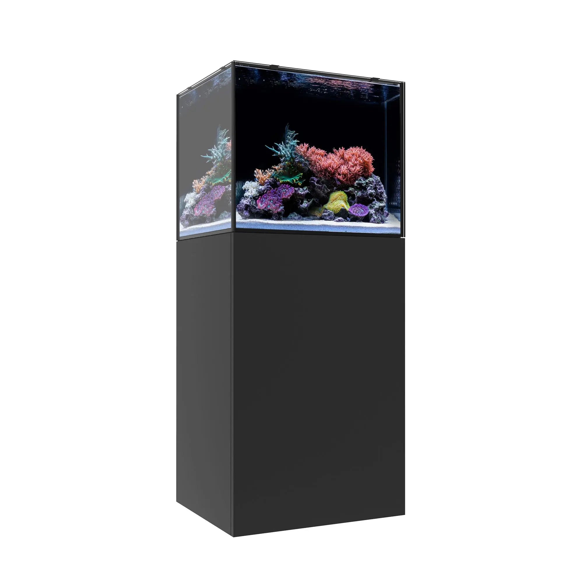 MARINE EX 60.2 Waterbox Aquariums