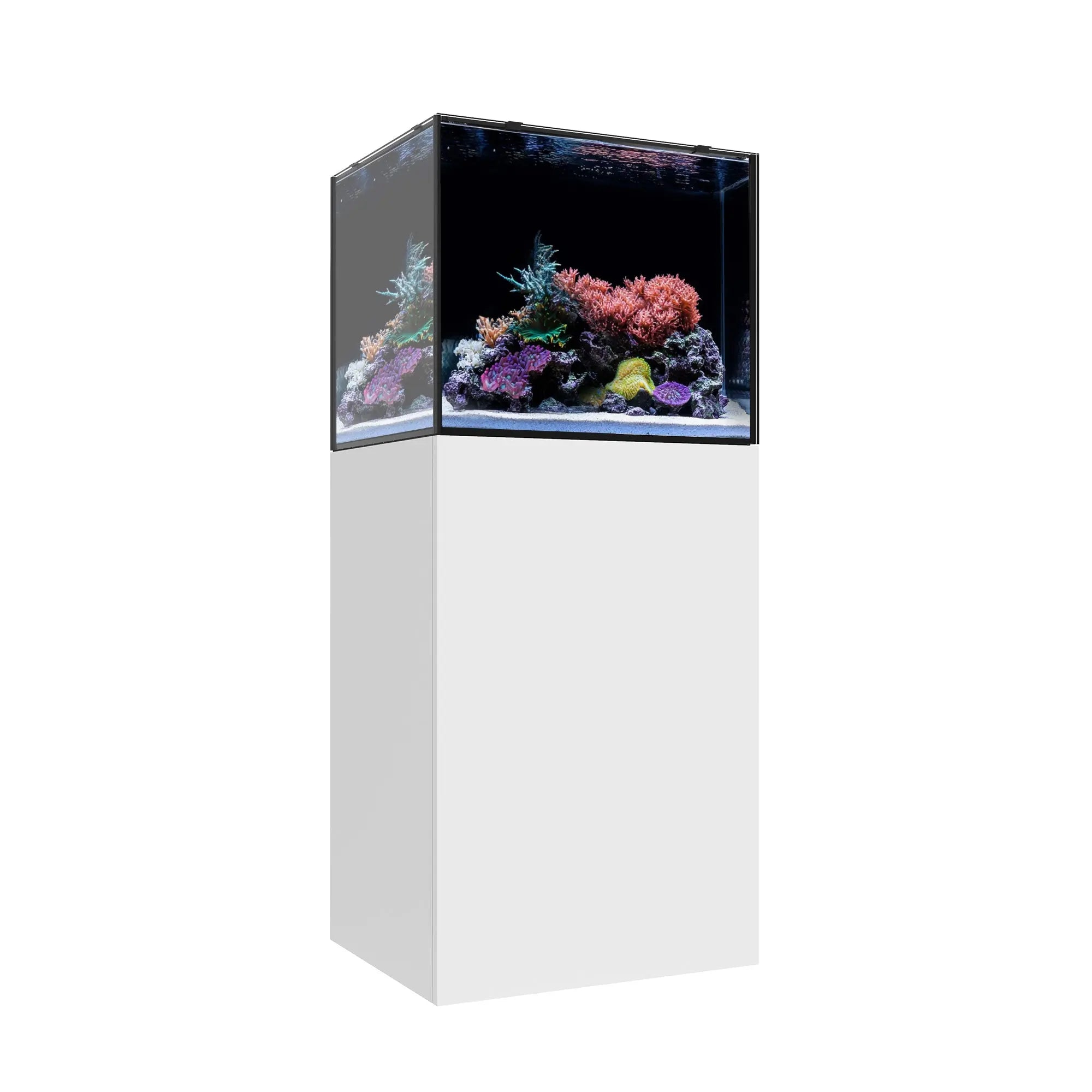 MARINE EX 60.2 Waterbox Aquariums