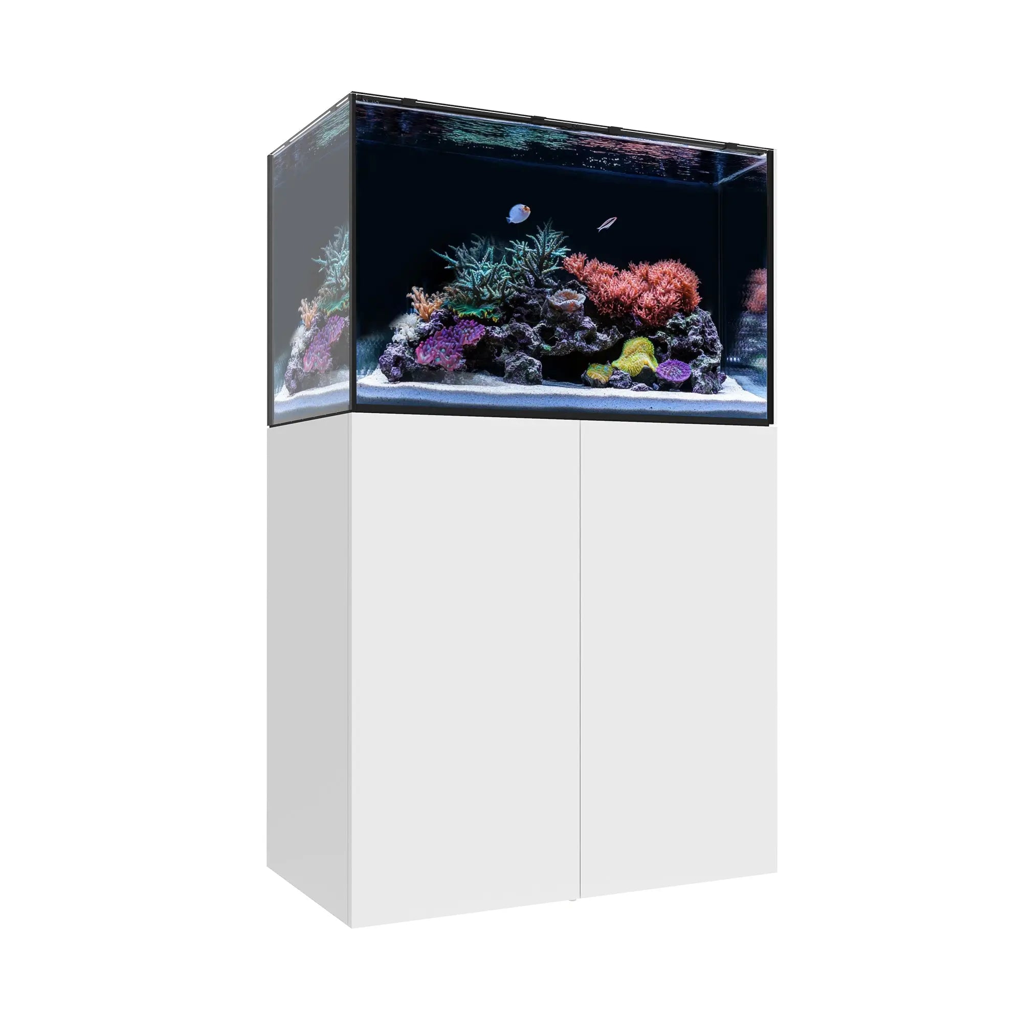 MARINE EX 90.3 Waterbox Aquariums