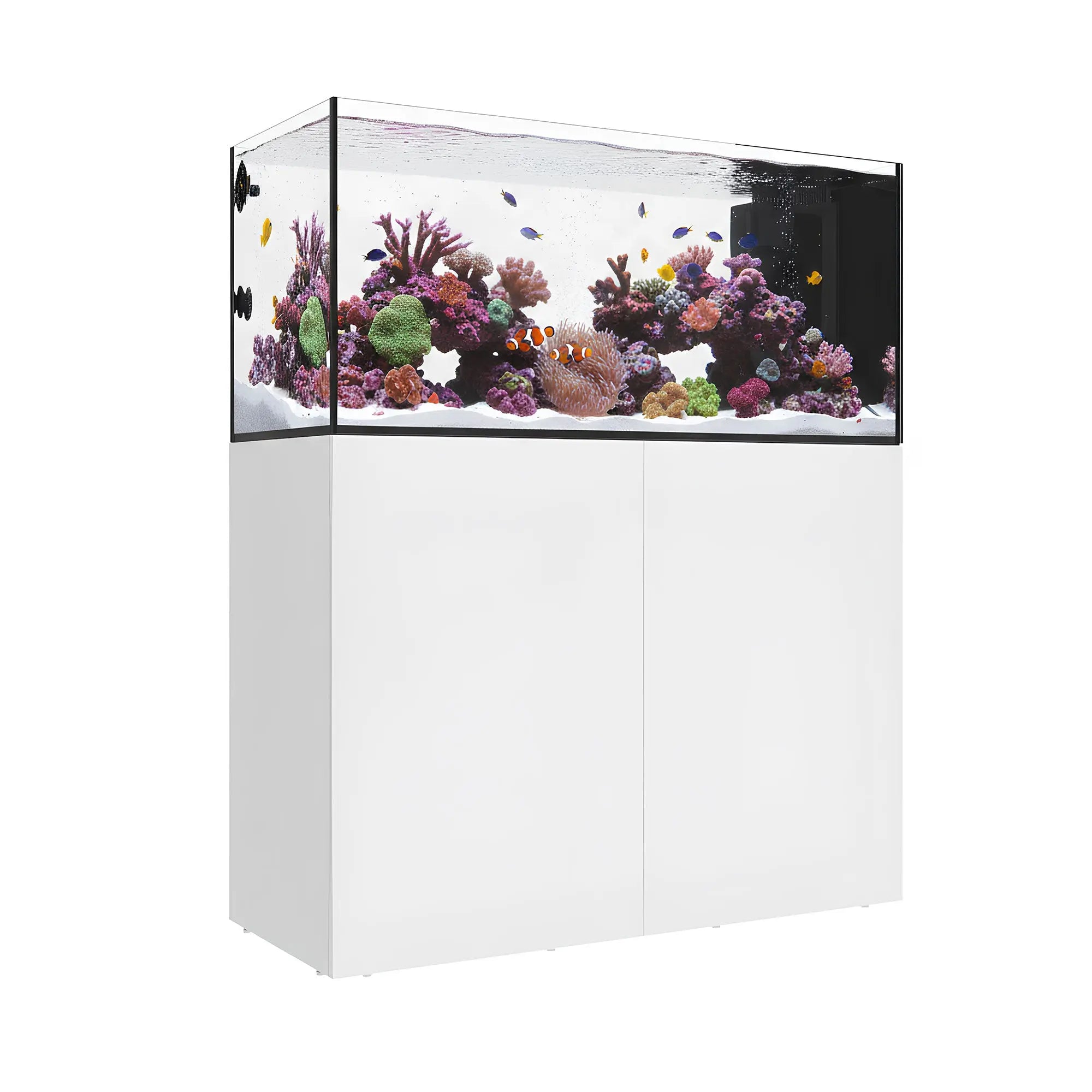 MARINE X 110.4 PENINSULA Waterbox Aquariums