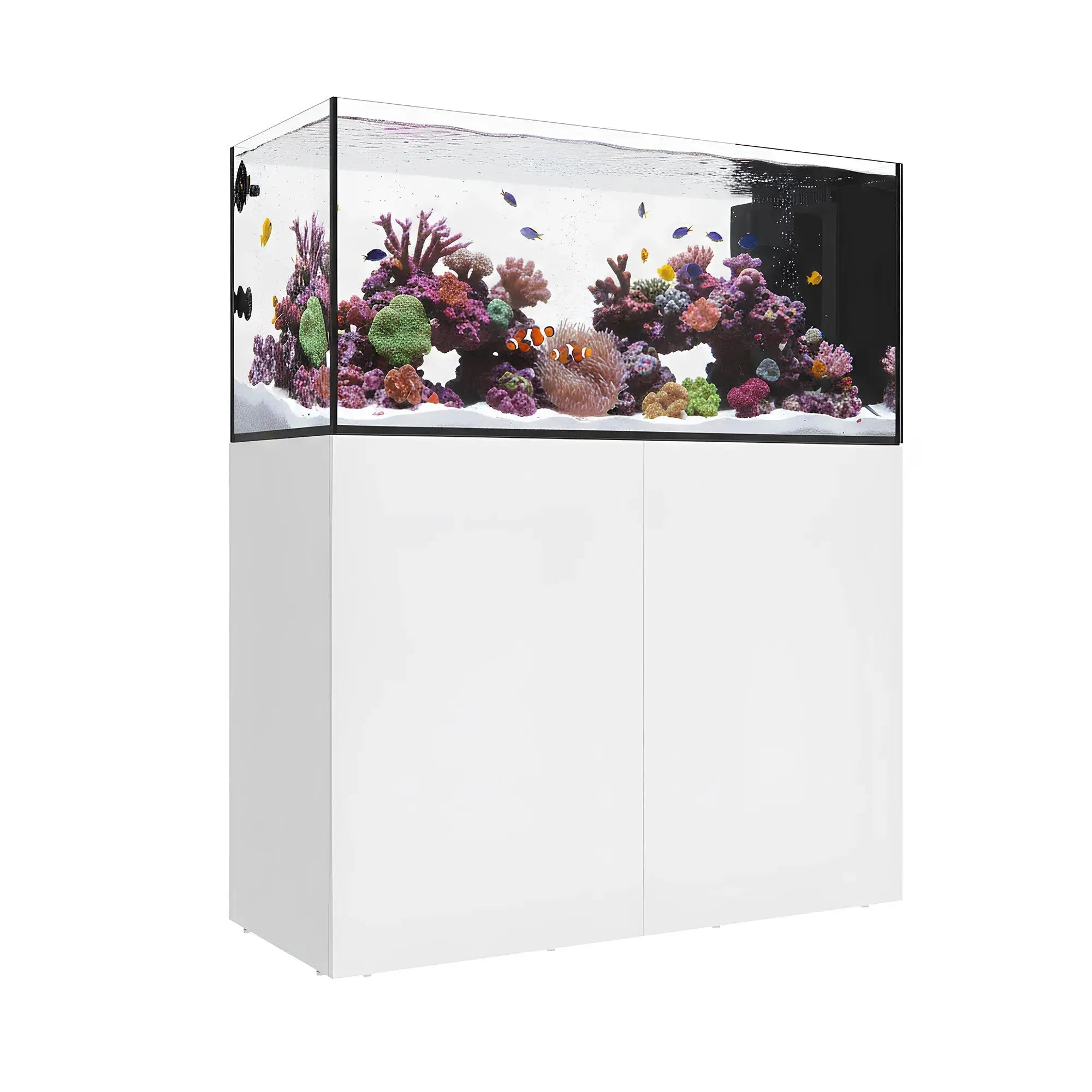 INFINIA PENINSULA 4820 Waterbox Aquariums