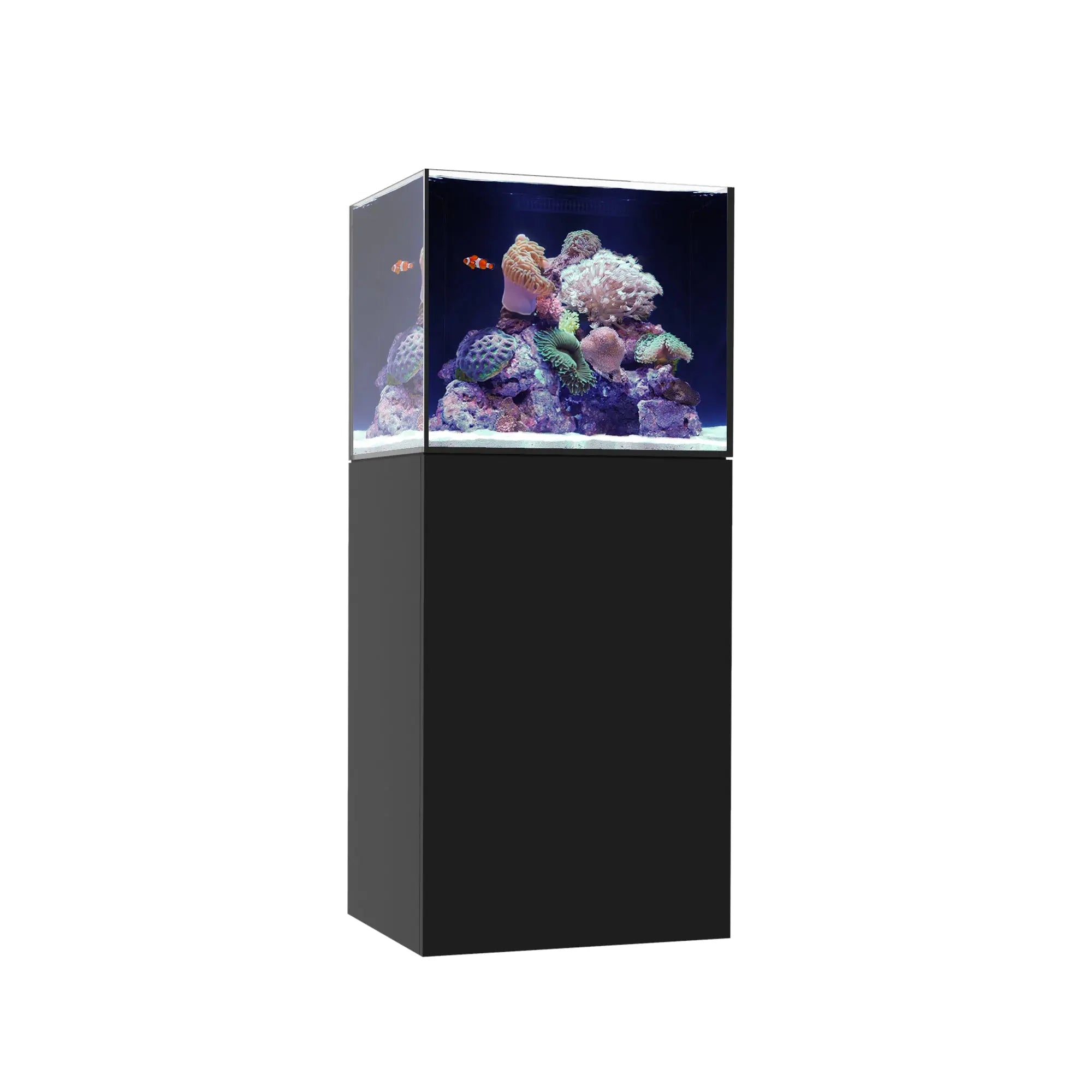 MARINE X 60.2 Waterbox Aquariums