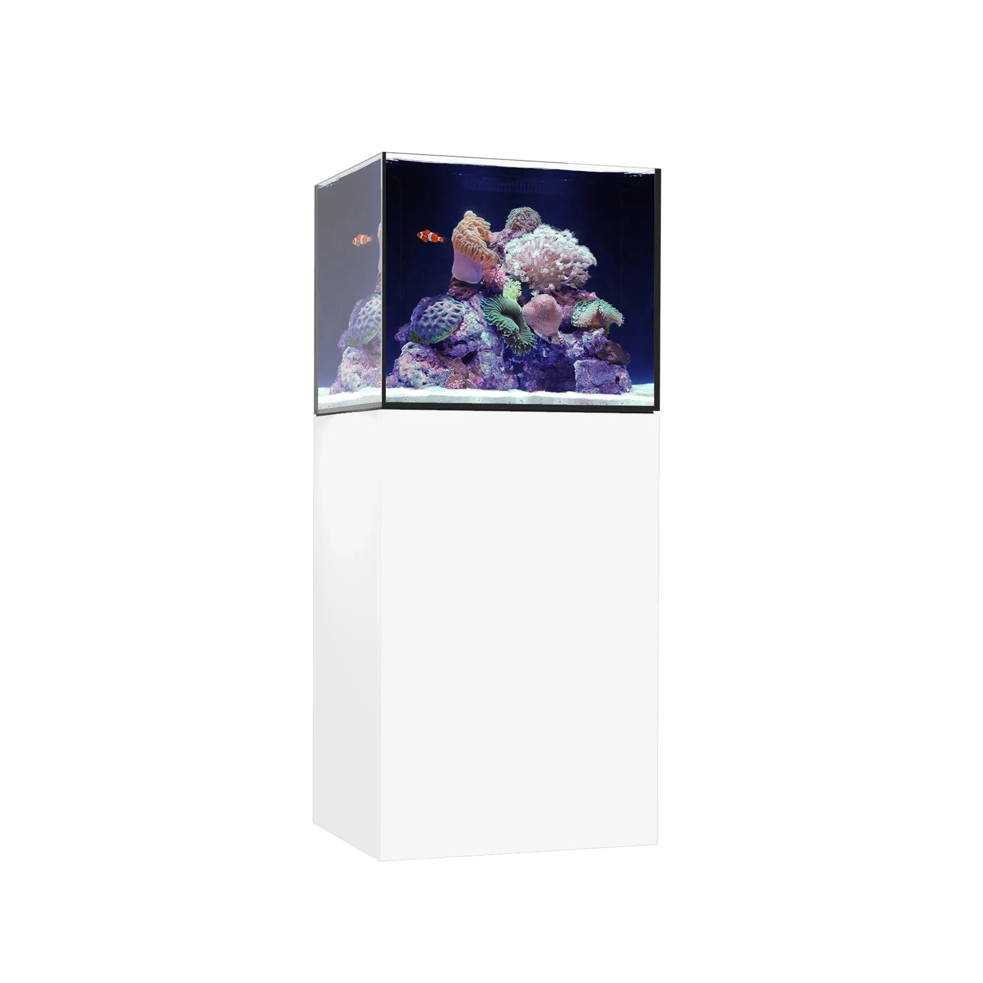 MARINE X 60.2 Waterbox Aquariums