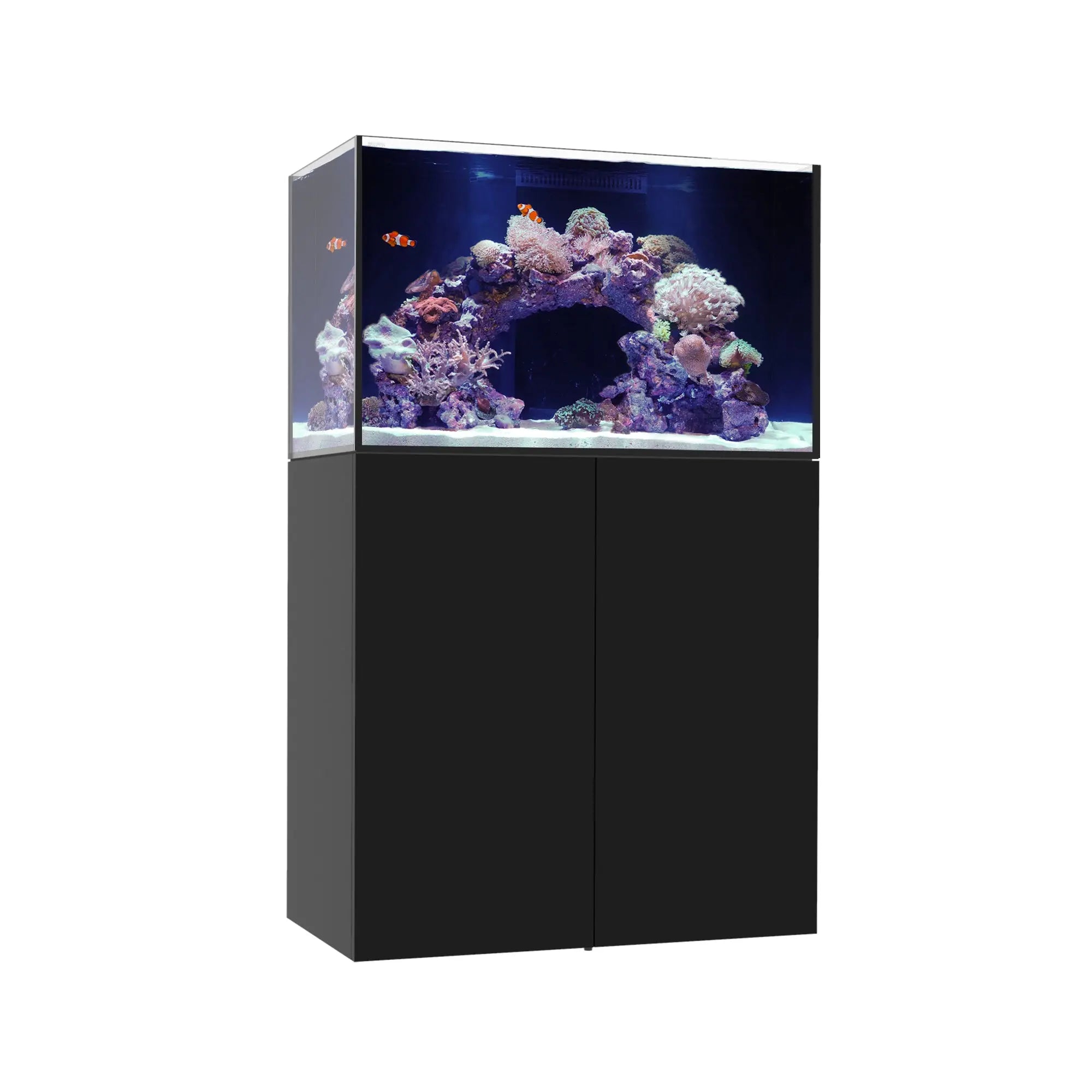 MARINE X 90.3 Waterbox Aquariums