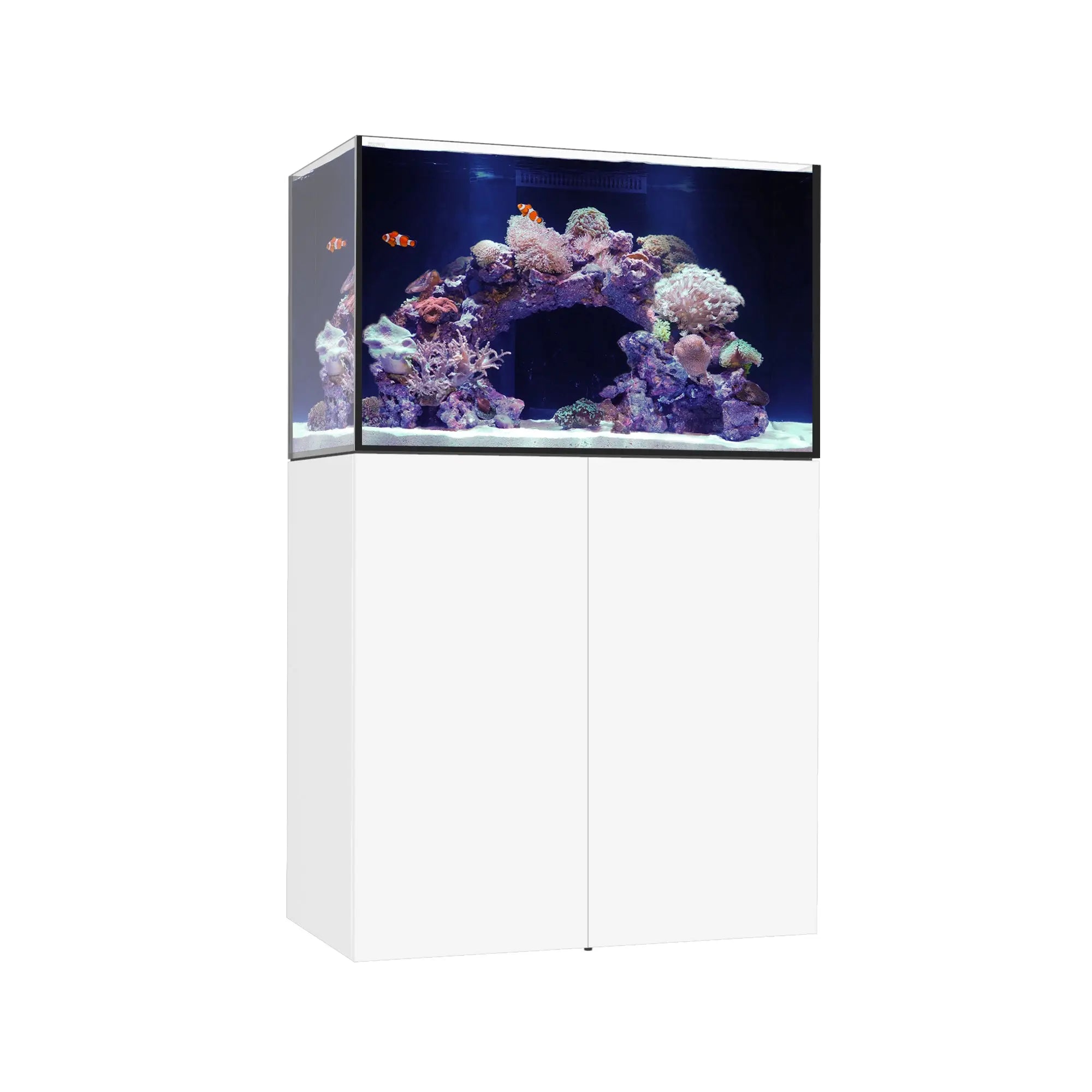 MARINE X 90.3 Waterbox Aquariums