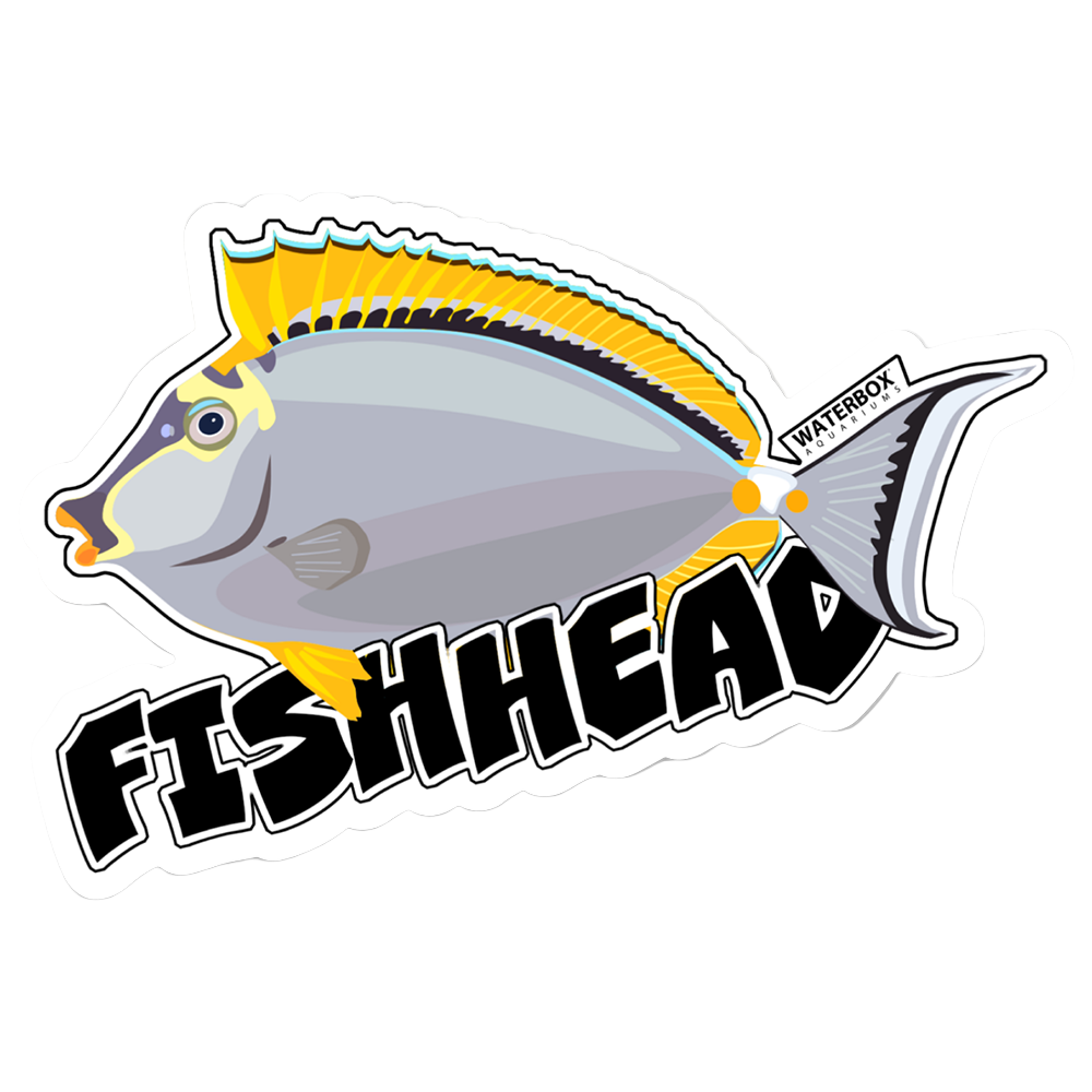 A diecut sticker in the shape of a fish with the text 'FISHHEAD' alongside it.