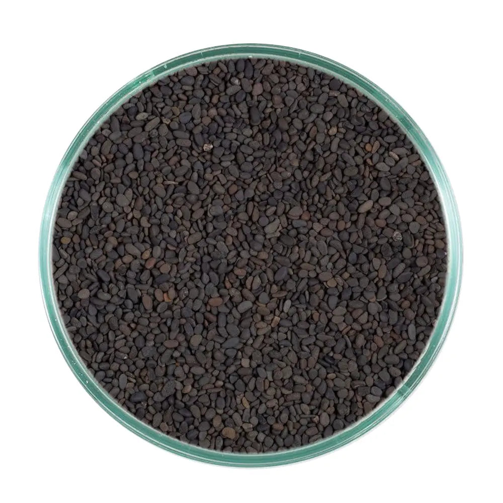 Super Natural Aquascapes Midnight River 20 lb Caribsea