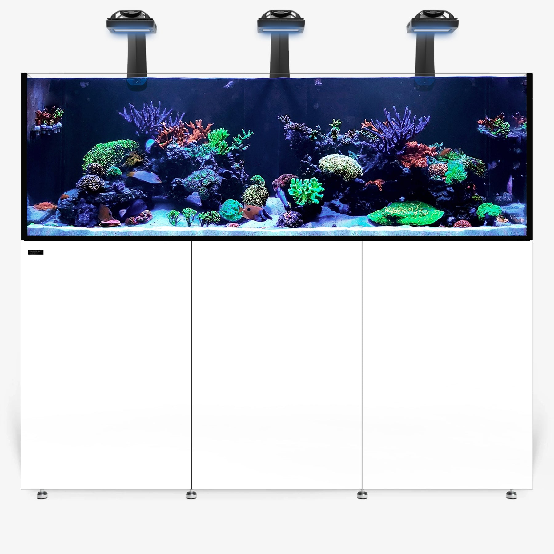 INFINIA Reef 230.6 PLUS Edition
