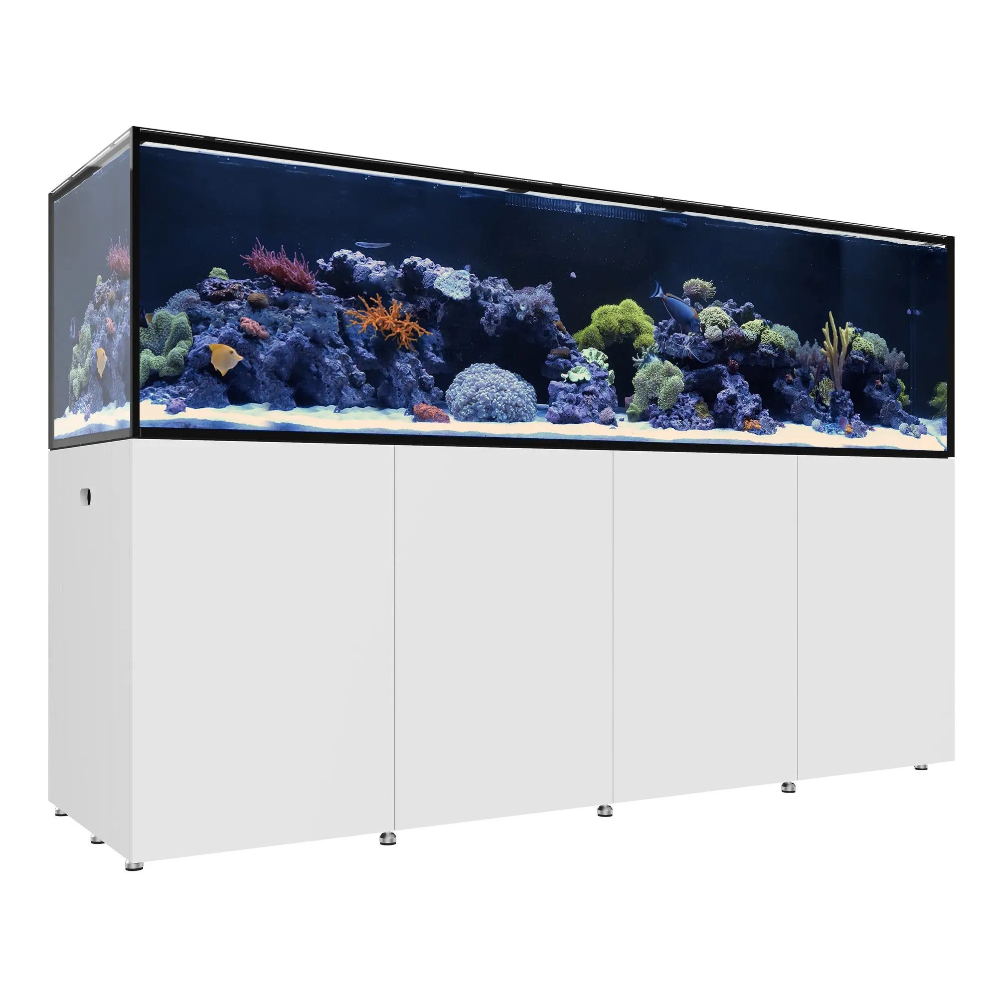REEF LX 380.8 Waterbox Aquariums