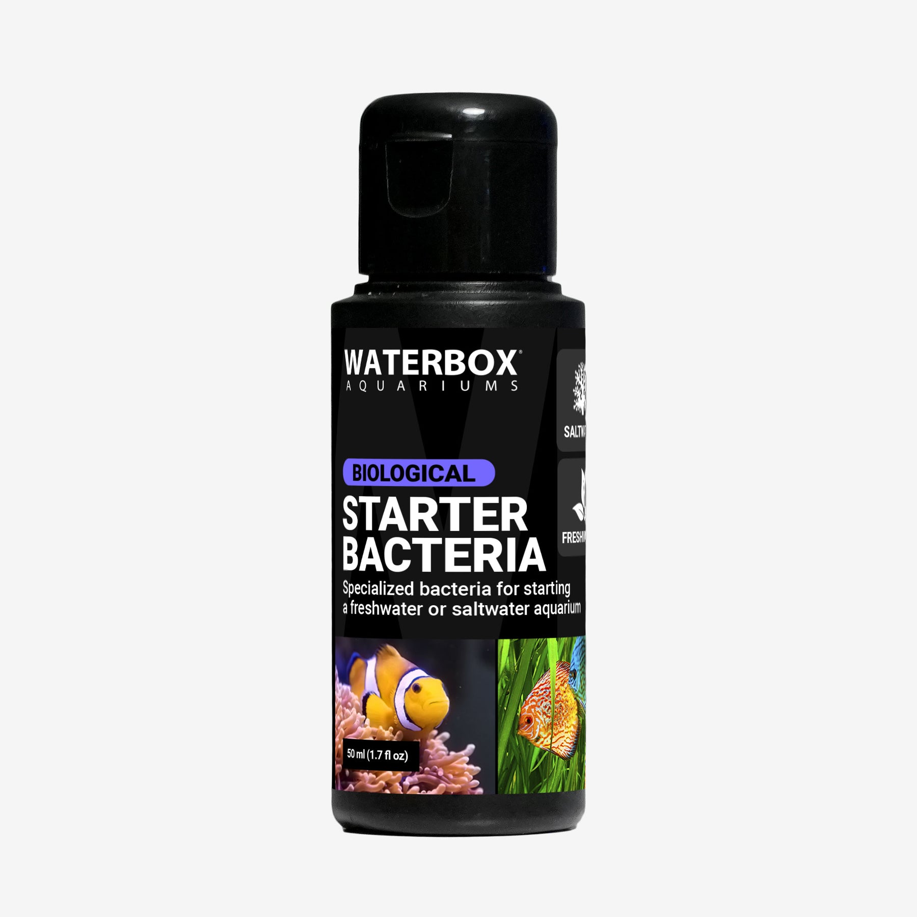 STARTER BACTERIA