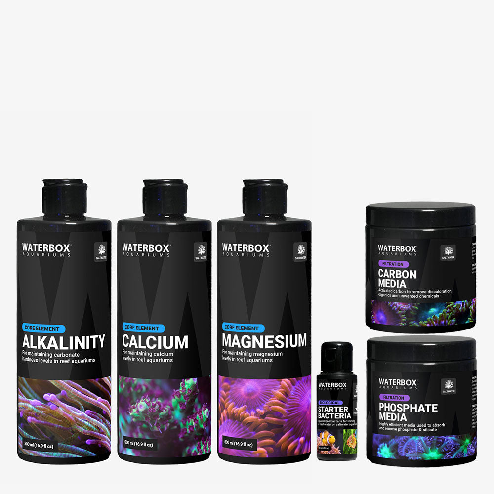 Image showcasing Saltwater Starter Pack