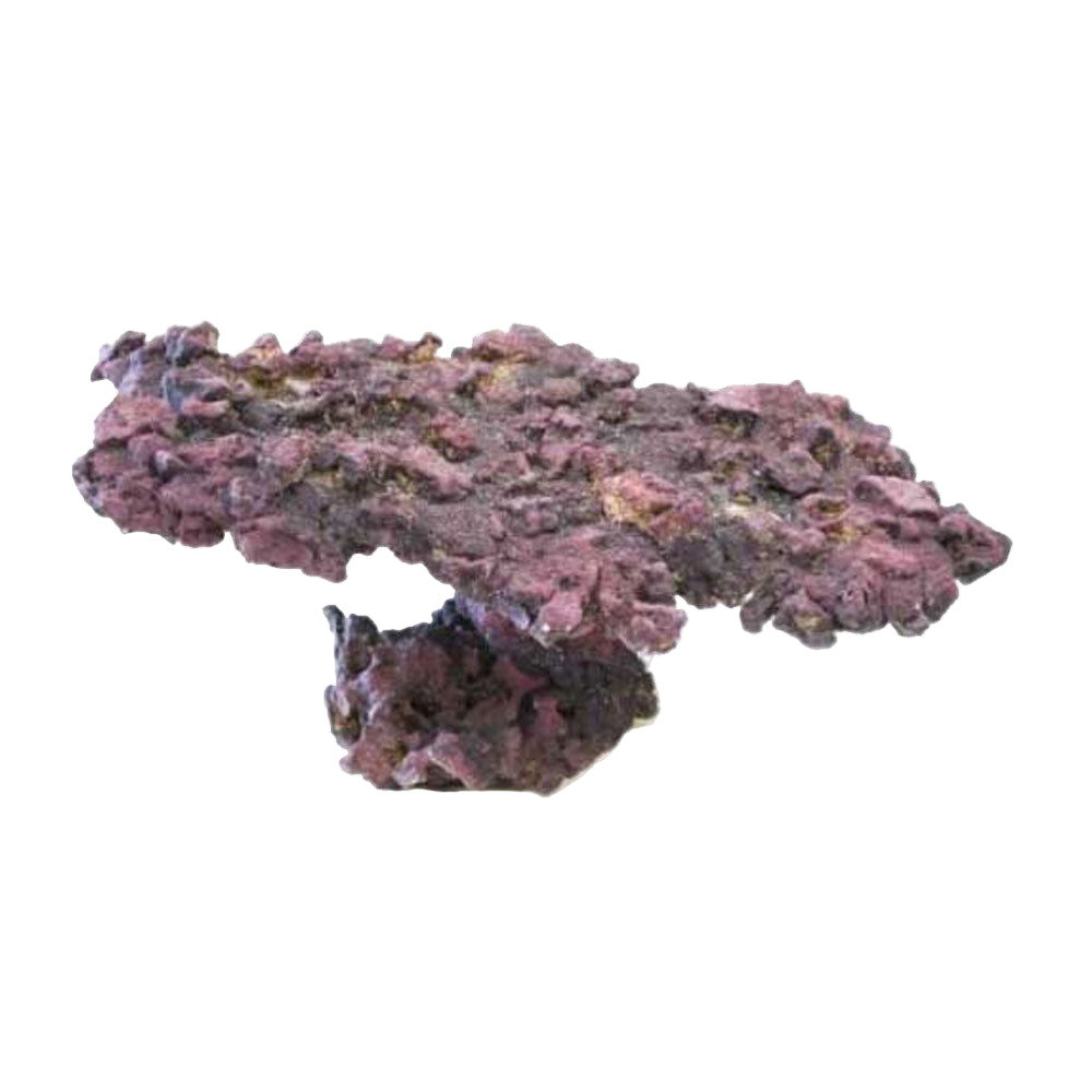 A irregularly shaped piece of brown substrate, likely to be used in saltwater aquariums.