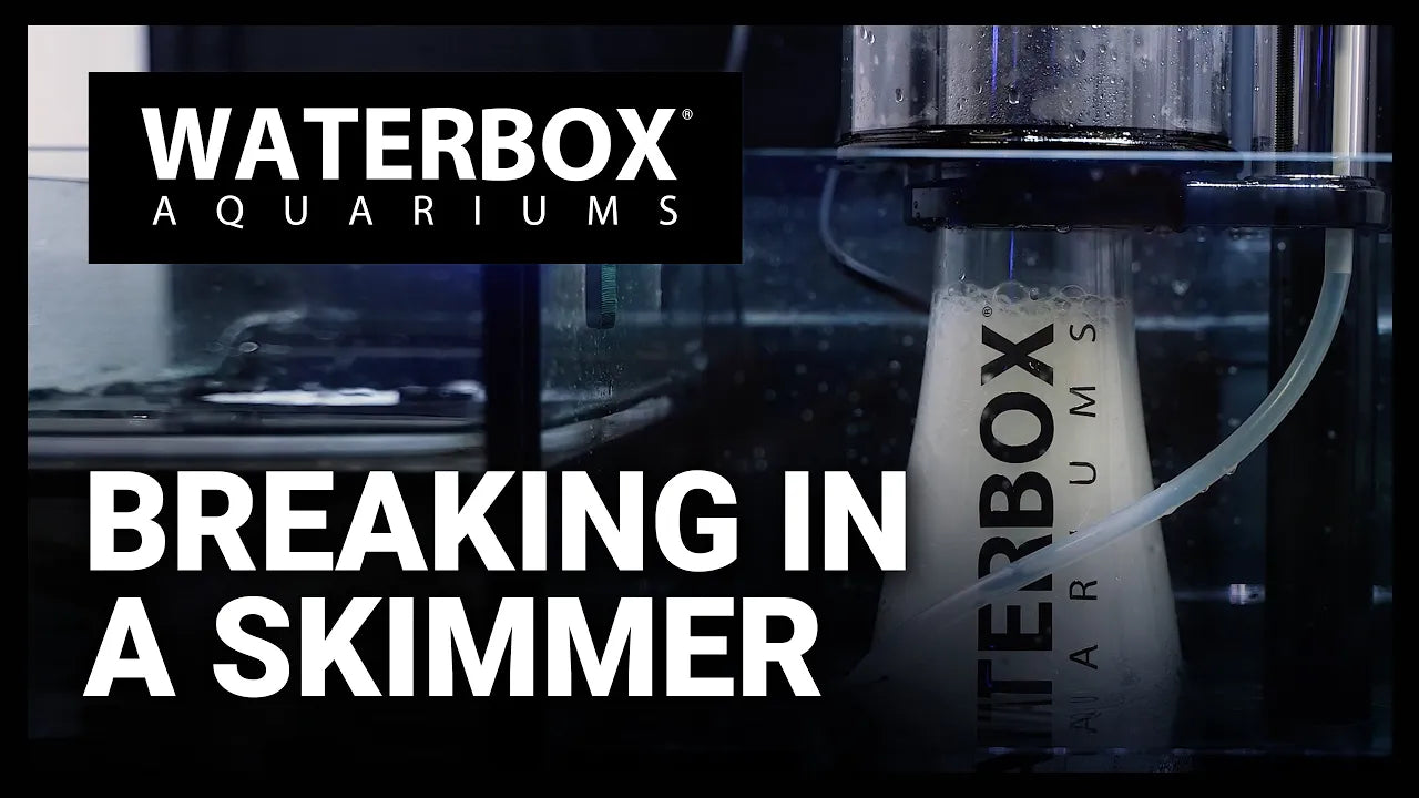 Load video: How to break in a protein skimmer