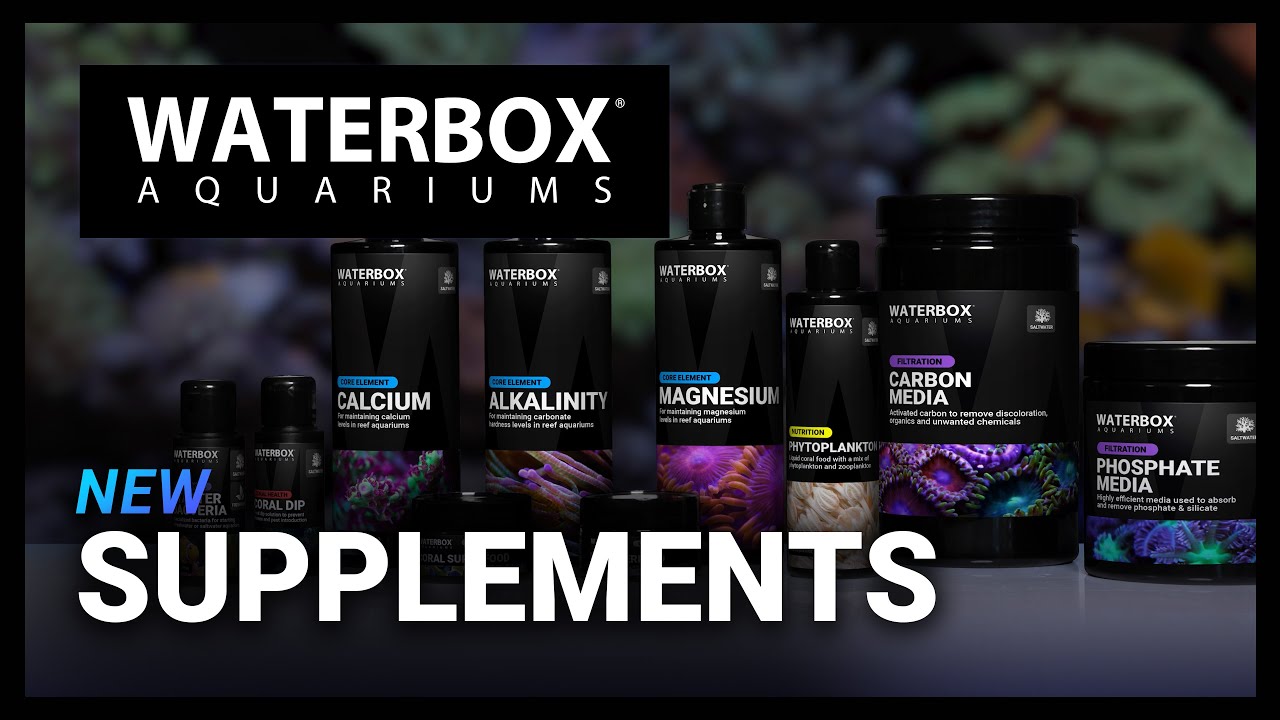 Load video: The Waterbox Method