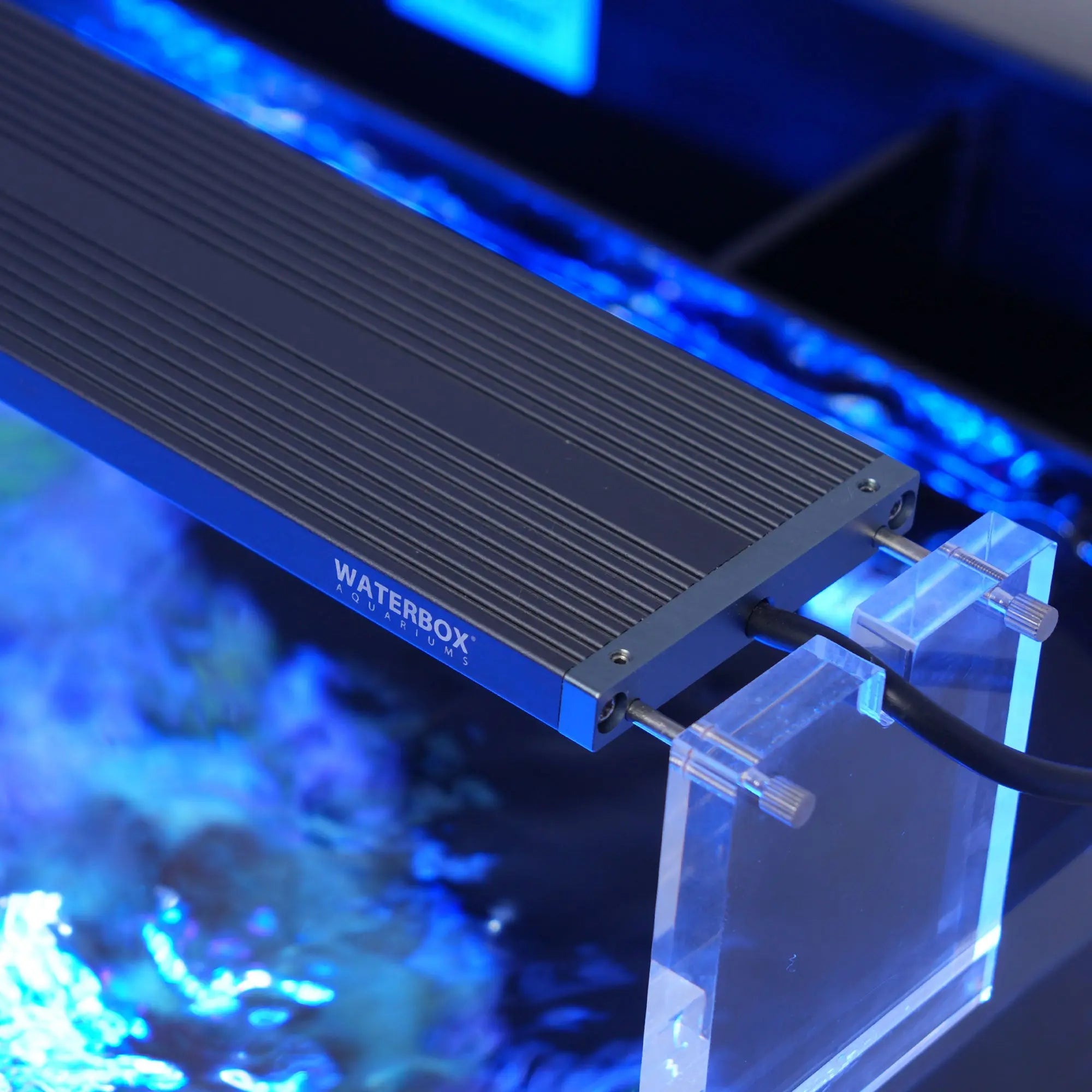Saltwater LED Lighting System (SLED) Waterbox Aquariums