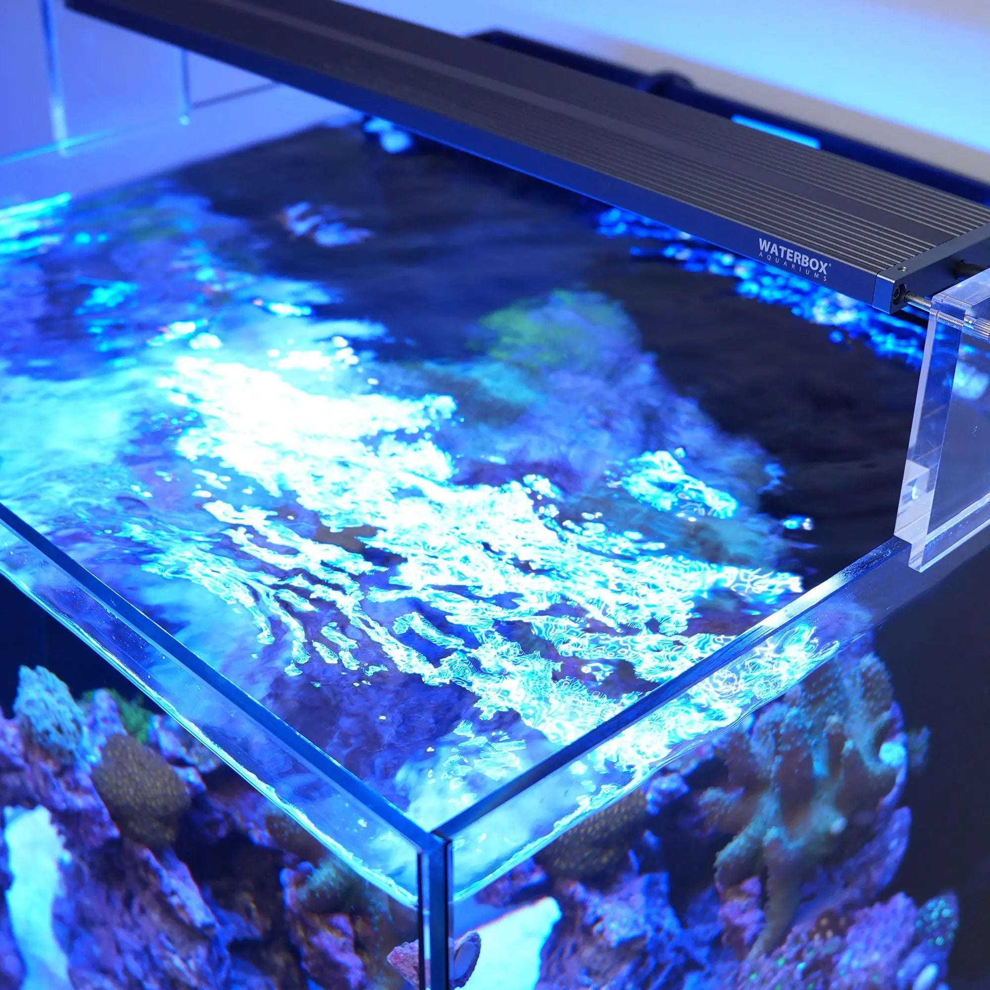 Saltwater LED Lighting System (SLED) Waterbox Aquariums