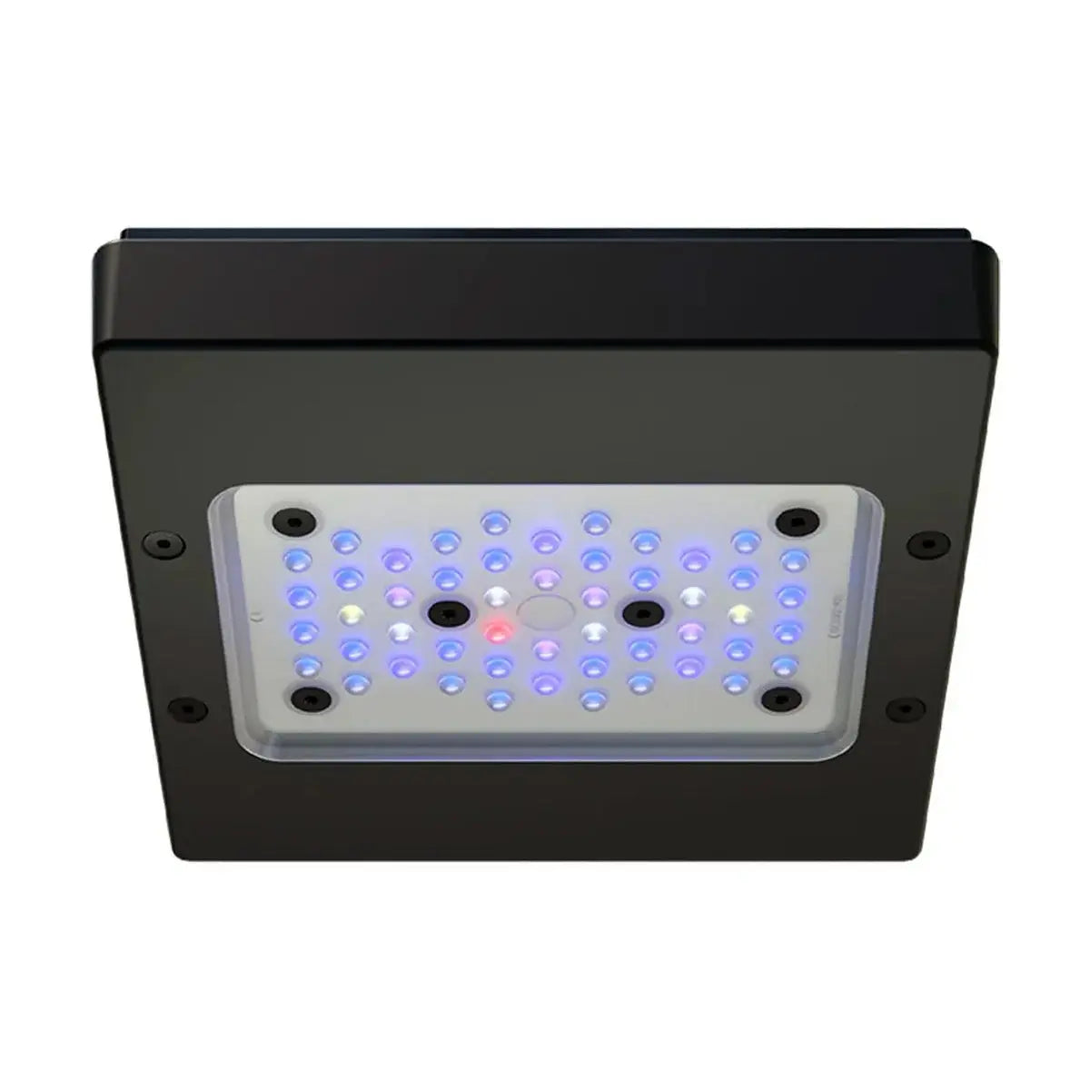 Radion XR15 G6 Blue EcoTech Marine