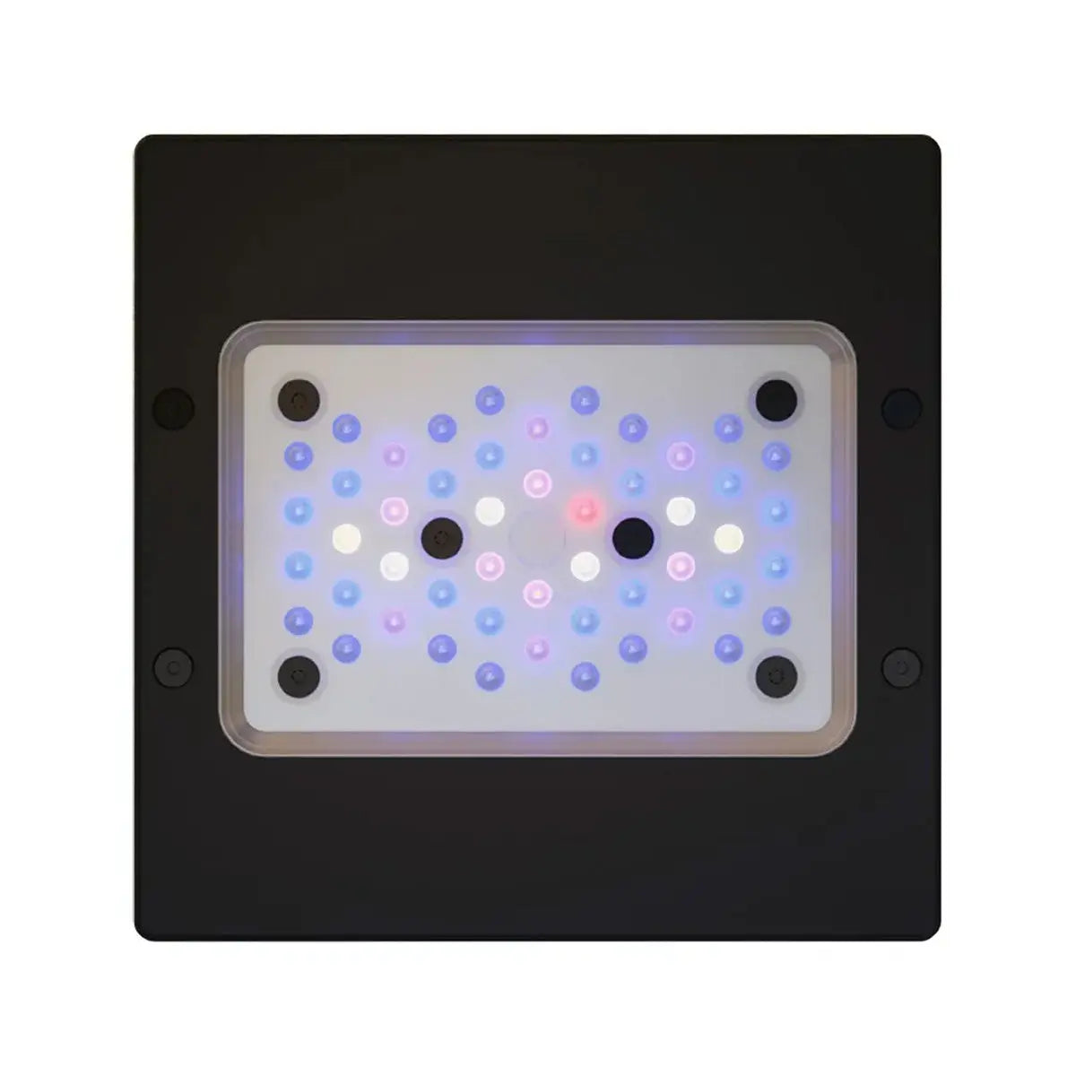 Radion XR15 G6 Blue EcoTech Marine
