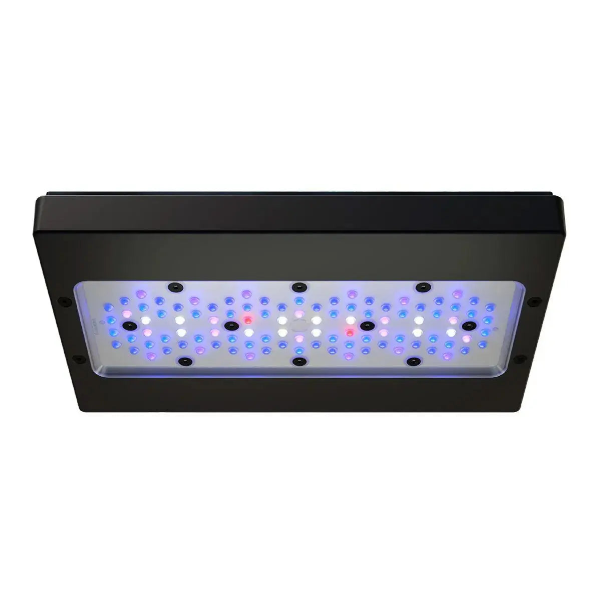 Radion XR30 G6 Blue EcoTech Marine