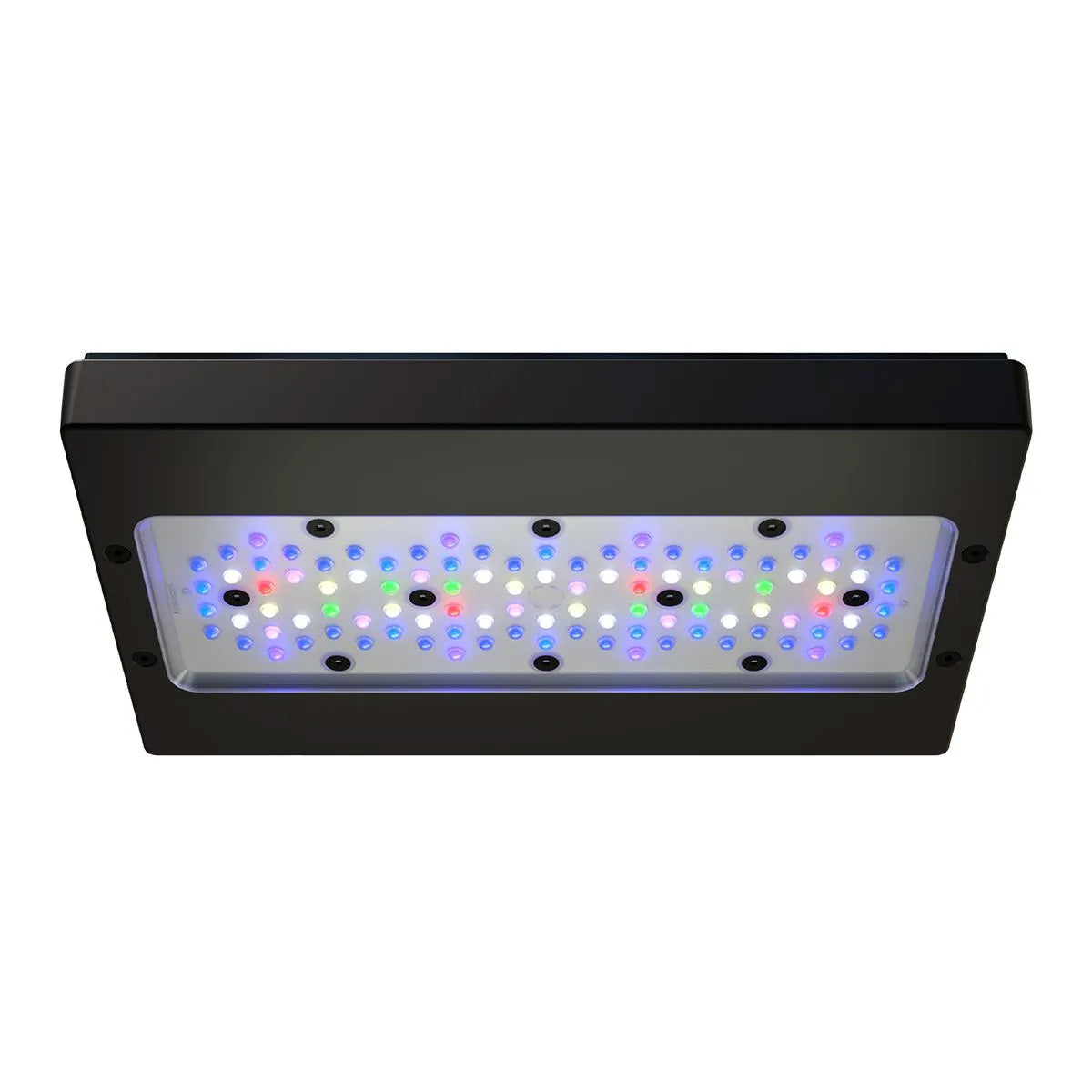 Radion XR30w Pro 水槽用LEDライト Radion XR30 G6 PRO – Waterbox Aquariums