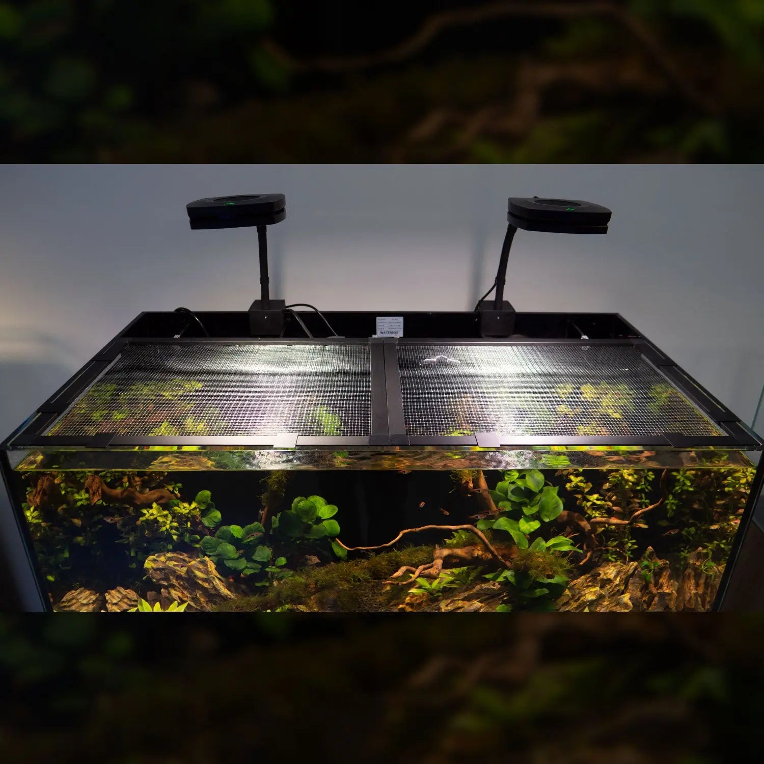 Mesh Lid System Waterbox Aquariums