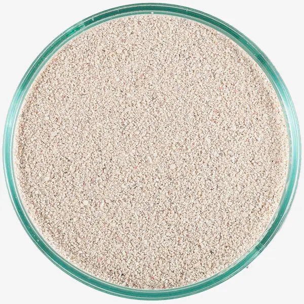 Arag-Alive Bahamas Oolite Caribsea
