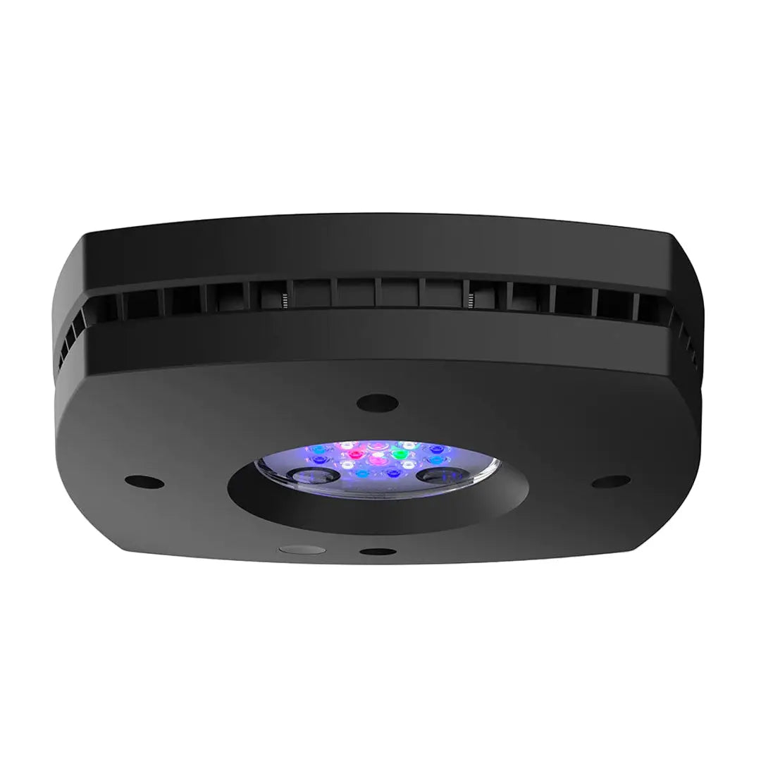 A black, rectangular-shaped LED aquarium light with a visible multicolored LED array on the inside.