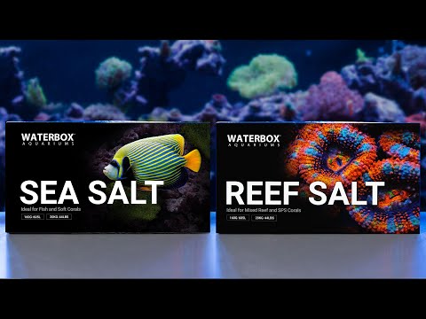 Reef Salt