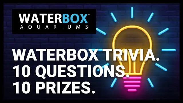 Waterbox Trivia: 10 Questions. 10 Prizes Waterbox Aquariums