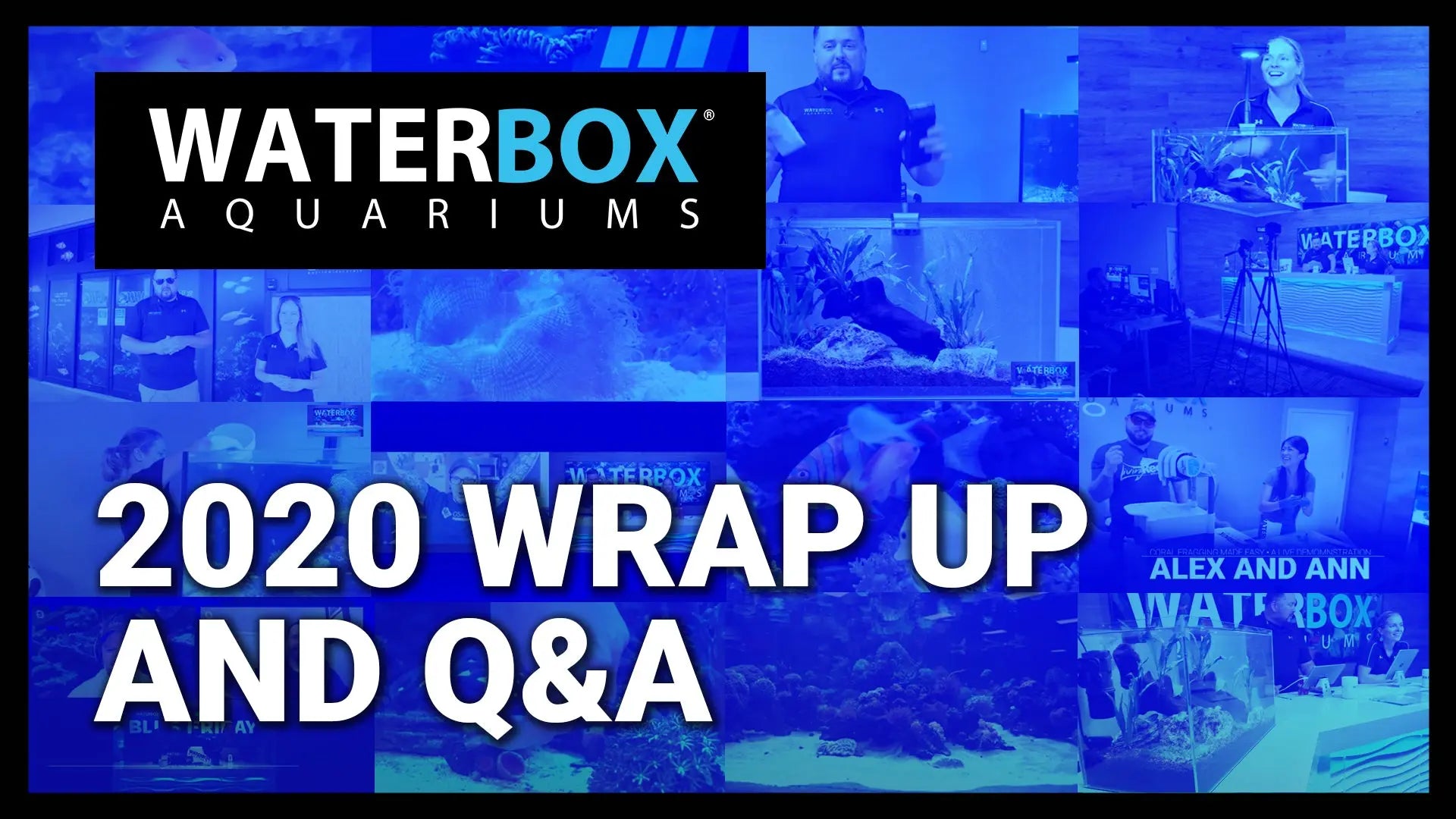 Let's Wrap Up 2020 Q&A Waterbox Aquariums