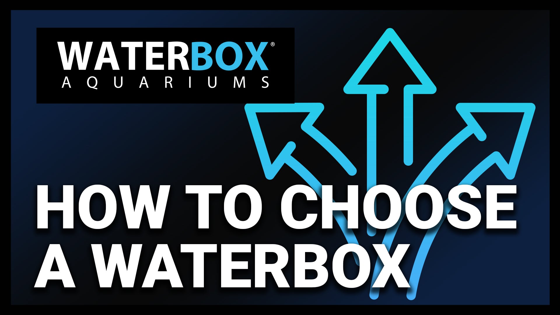How to Choose a Waterbox – Waterbox Aquariums