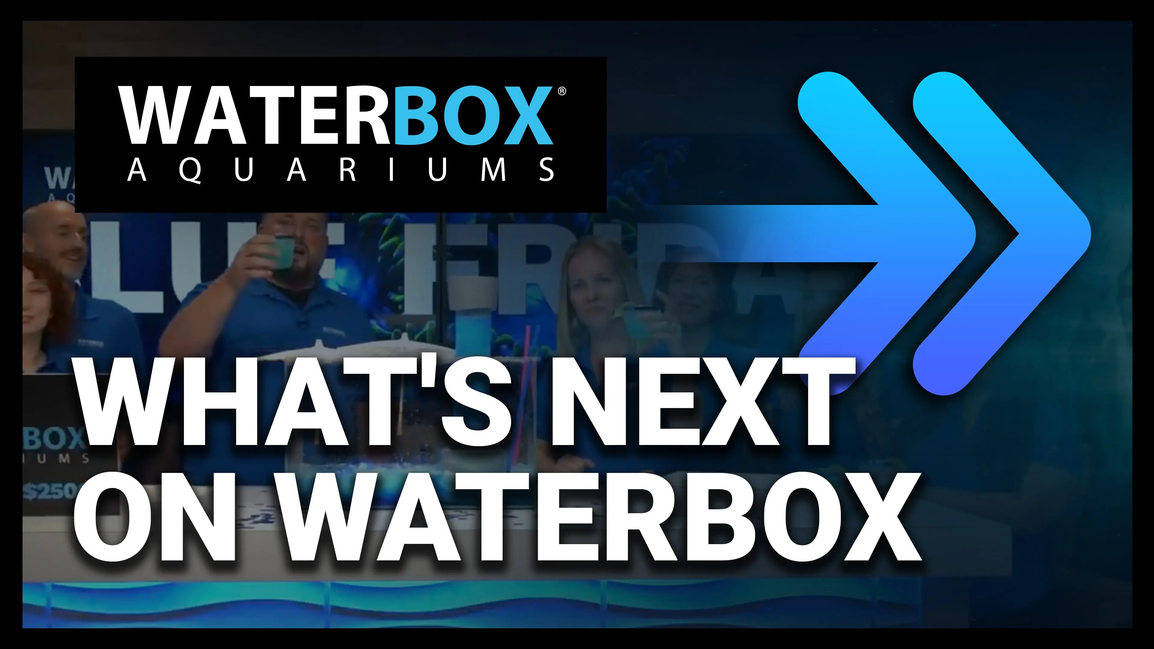 What's Next on Waterbox Live Waterbox Aquariums