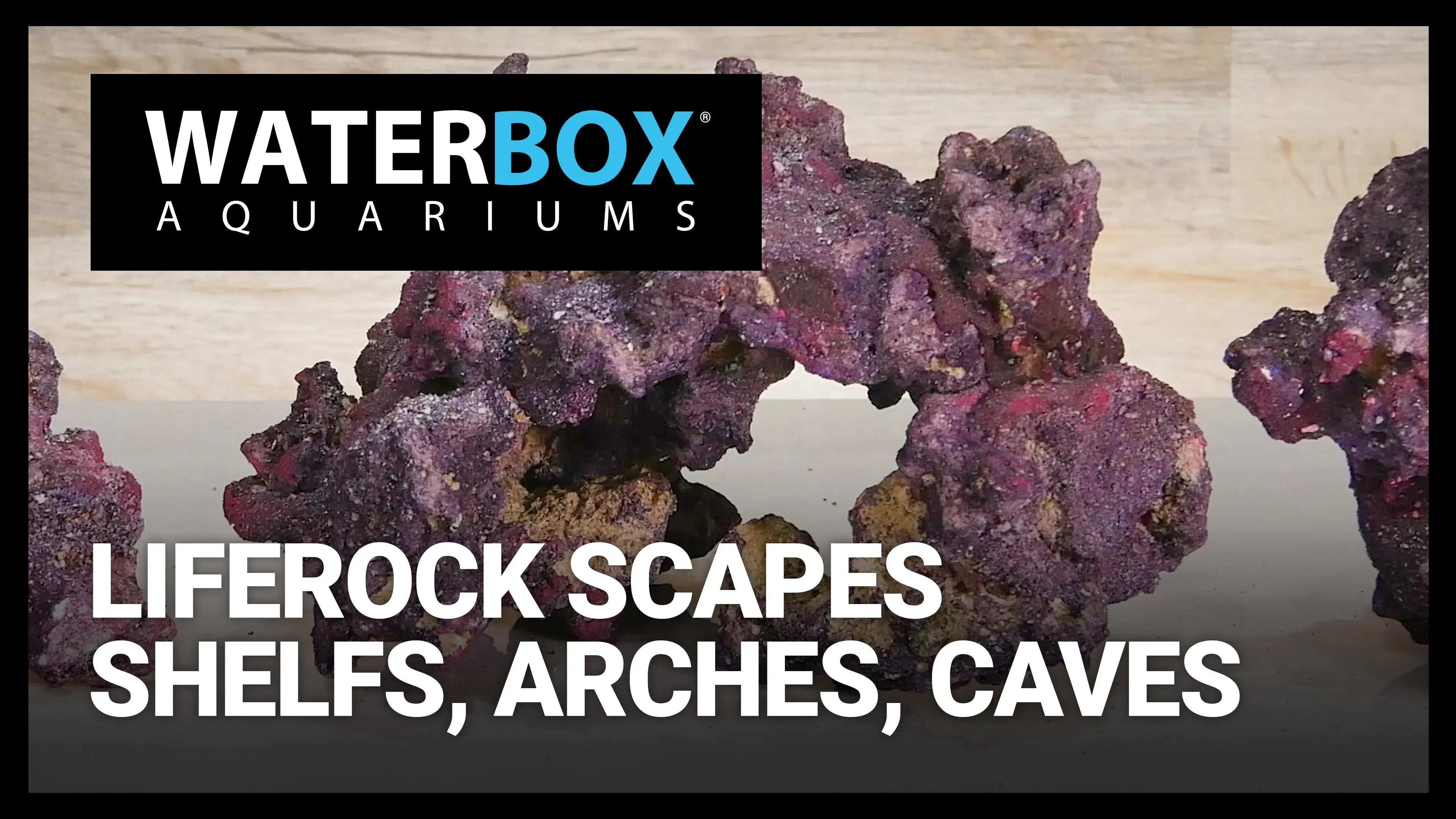 LifeRock: Shelfs, Arches, Caves and More. Waterbox Aquariums