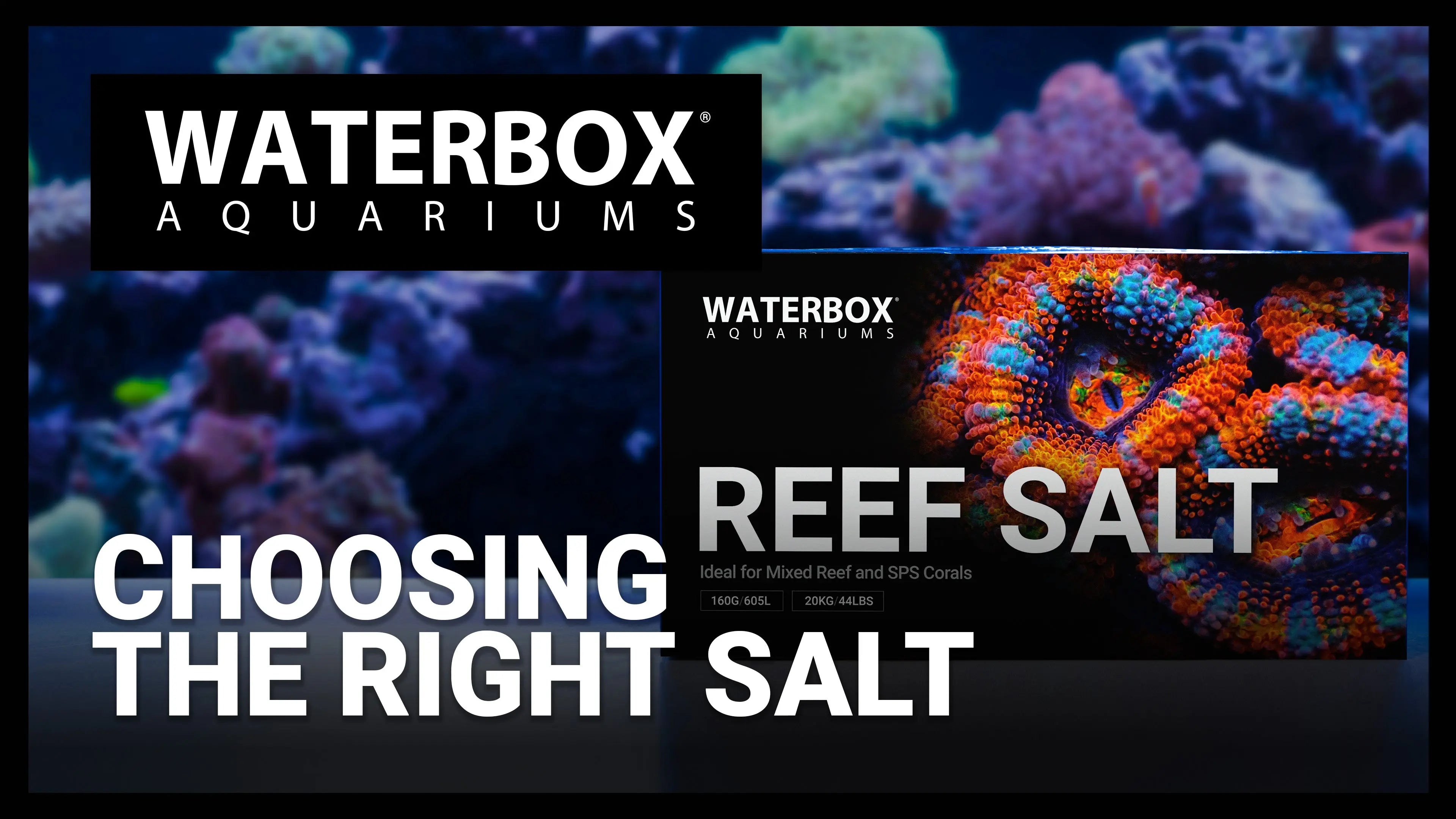 Episode 140: Choosing Salt - Consider Maintenance and Parameters. Waterbox Aquariums
